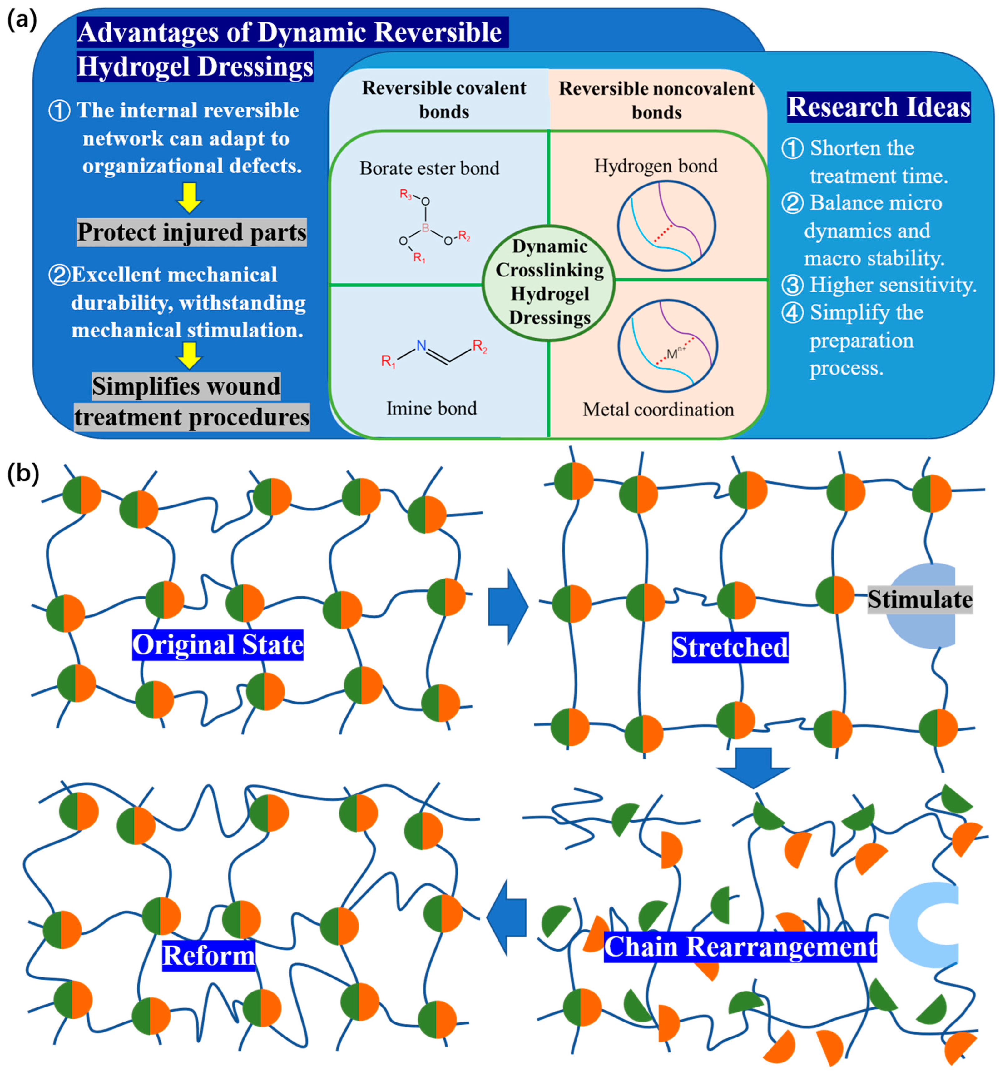Polymers 15 02000 g003