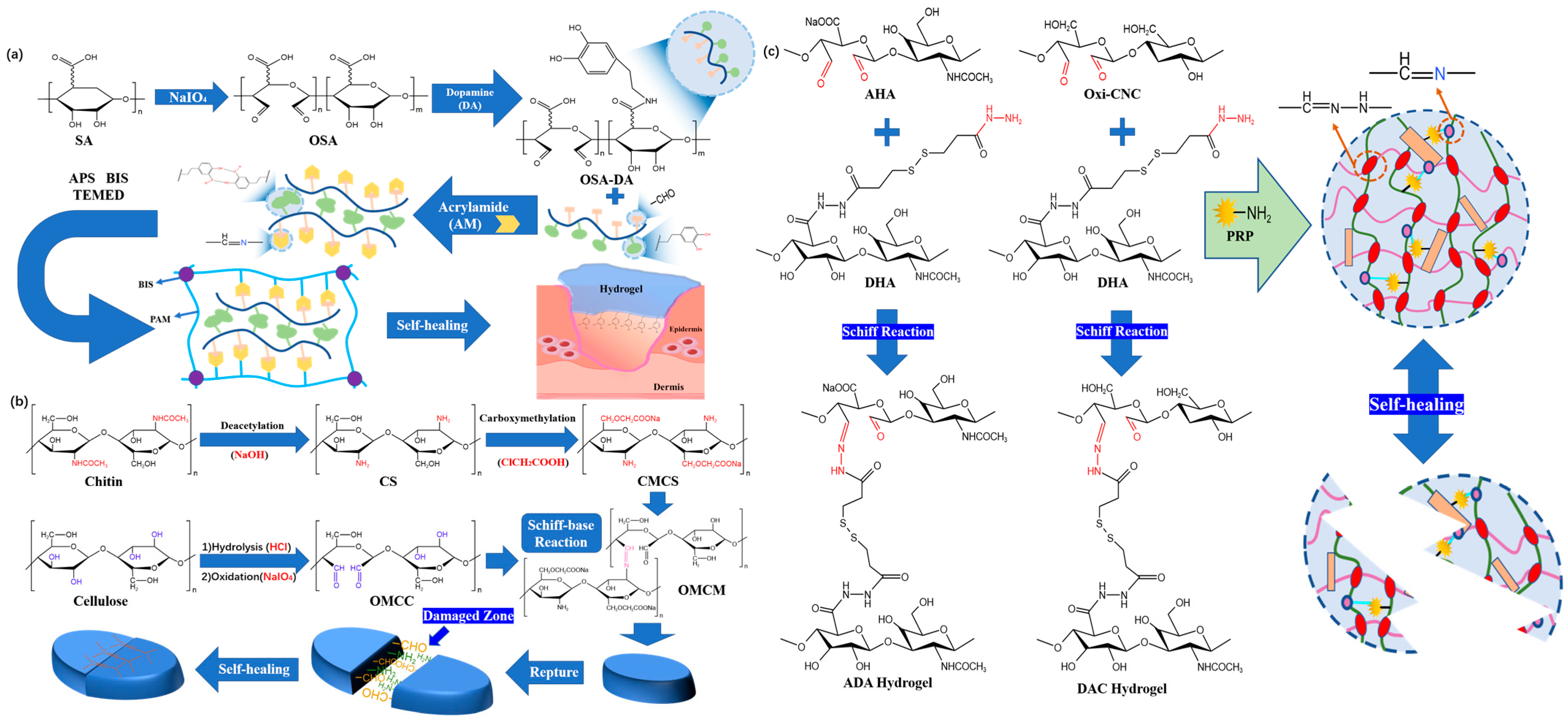 Polymers 15 02000 g004