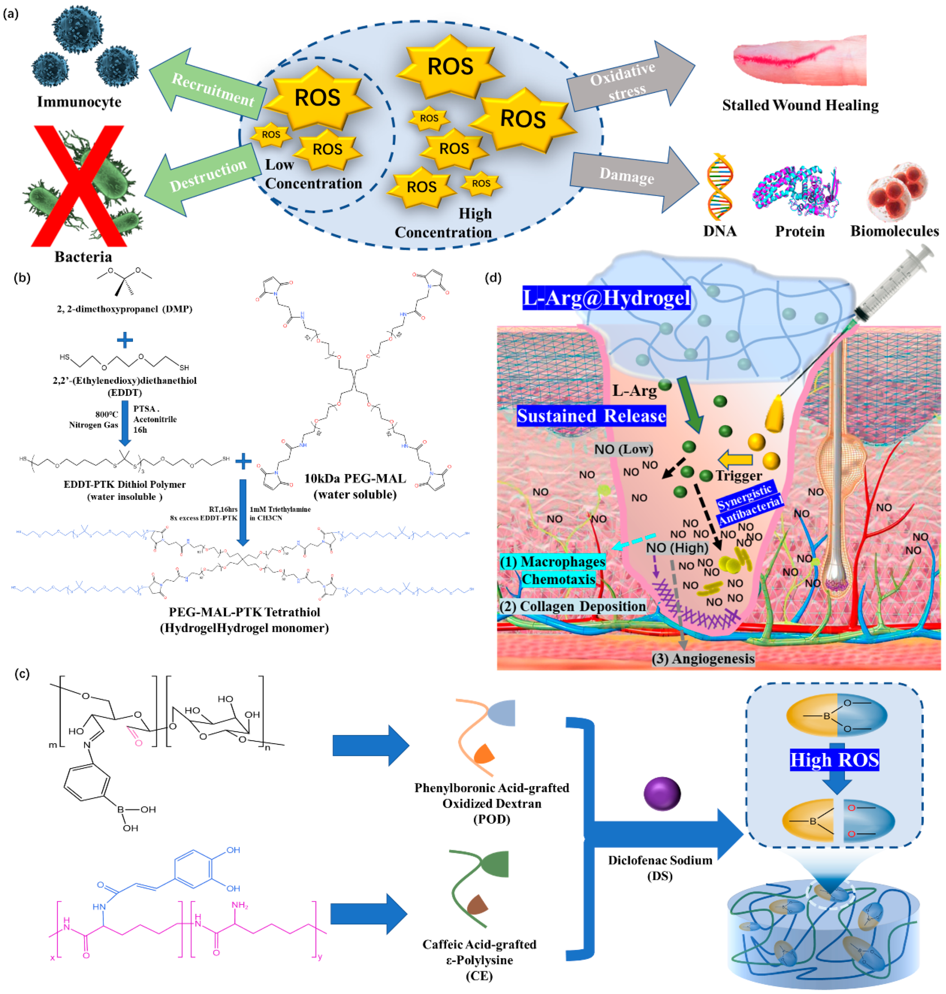 Polymers 15 02000 g013