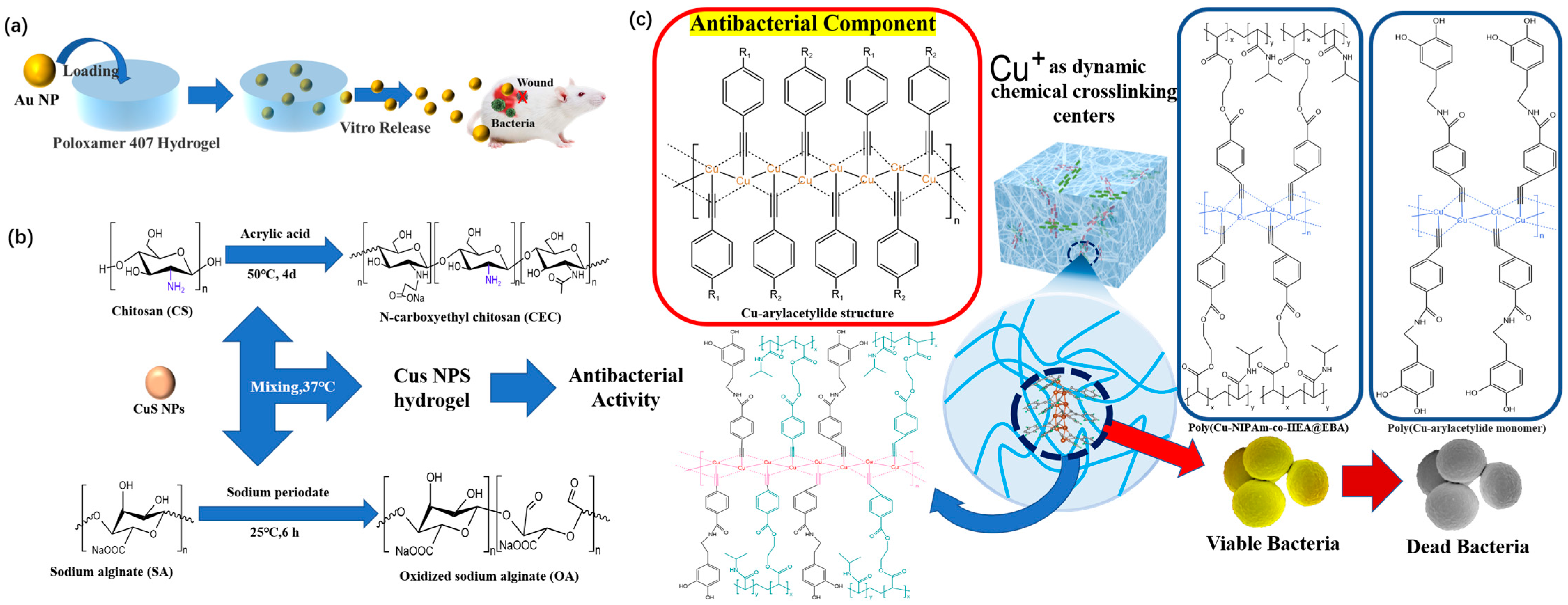 Polymers 15 02000 g018