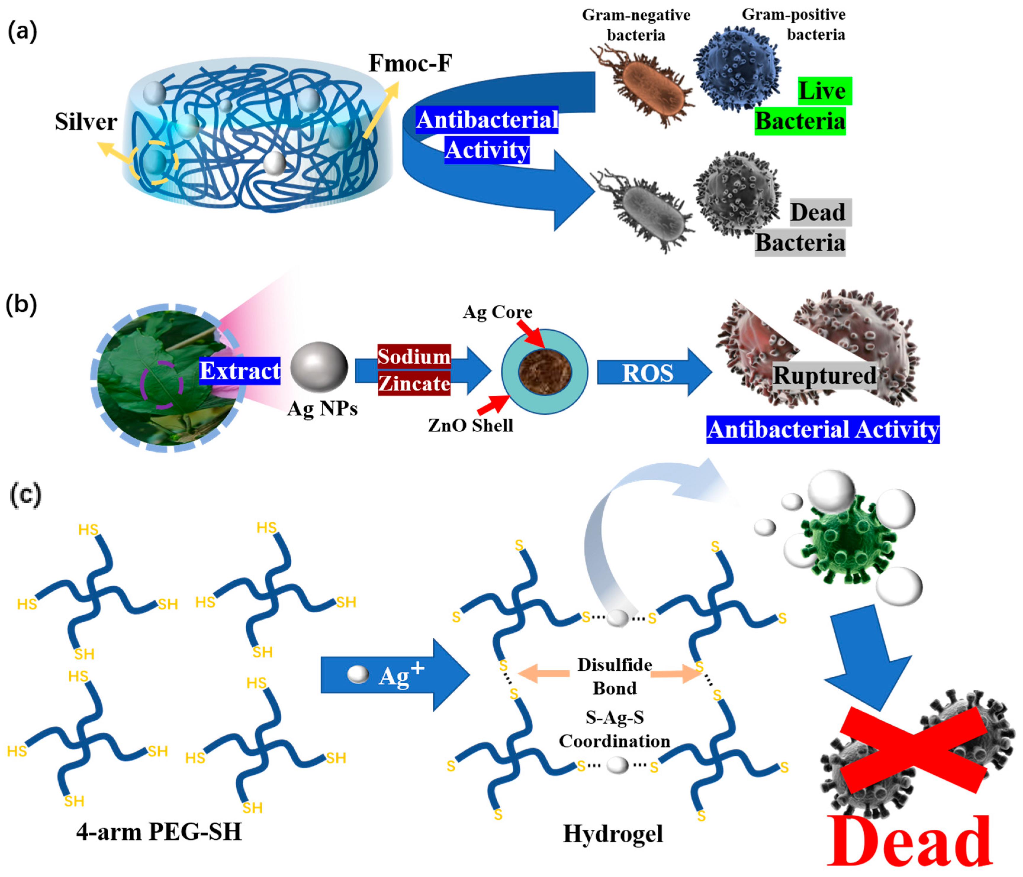 Polymers 15 02000 g019