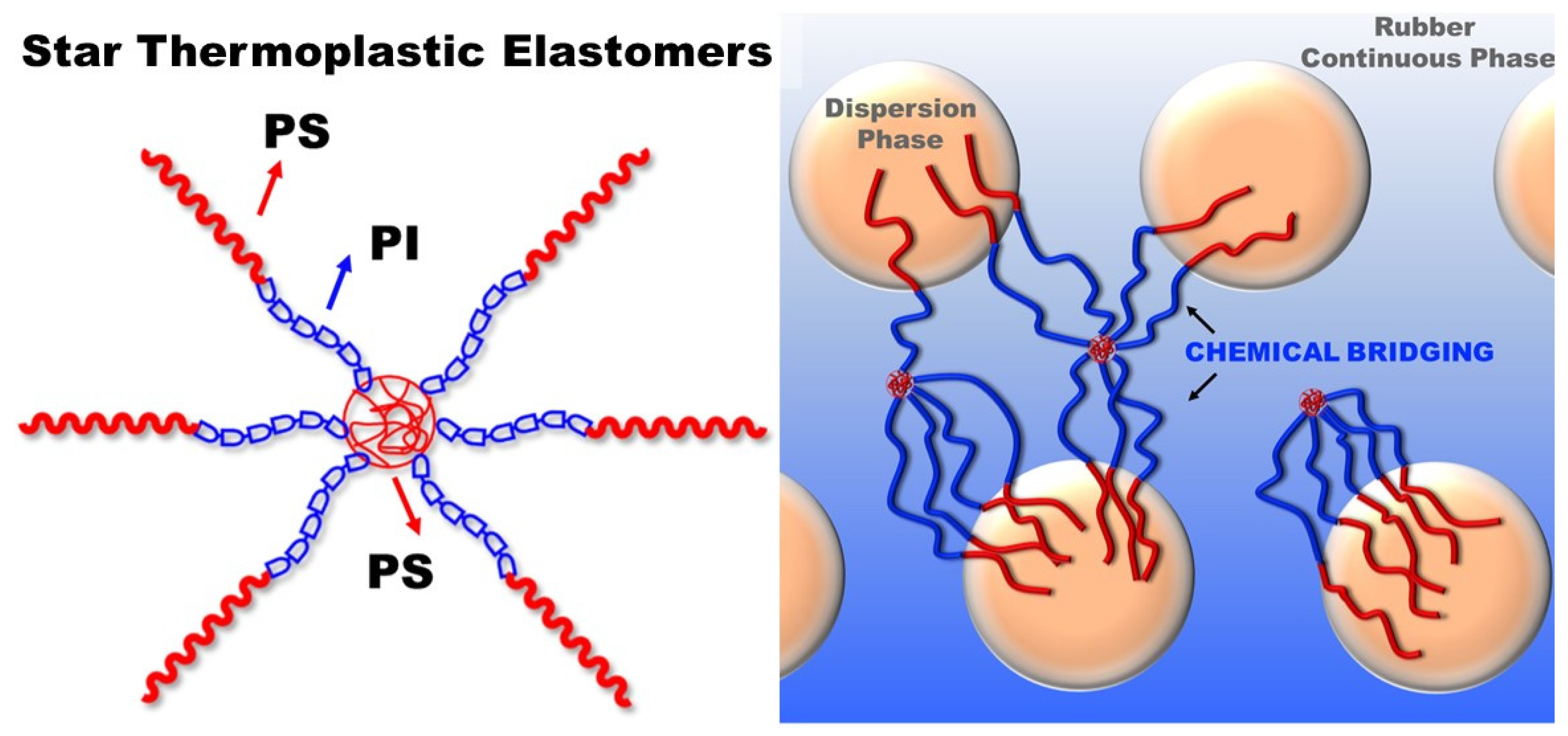 Polymers 15 02002 g003