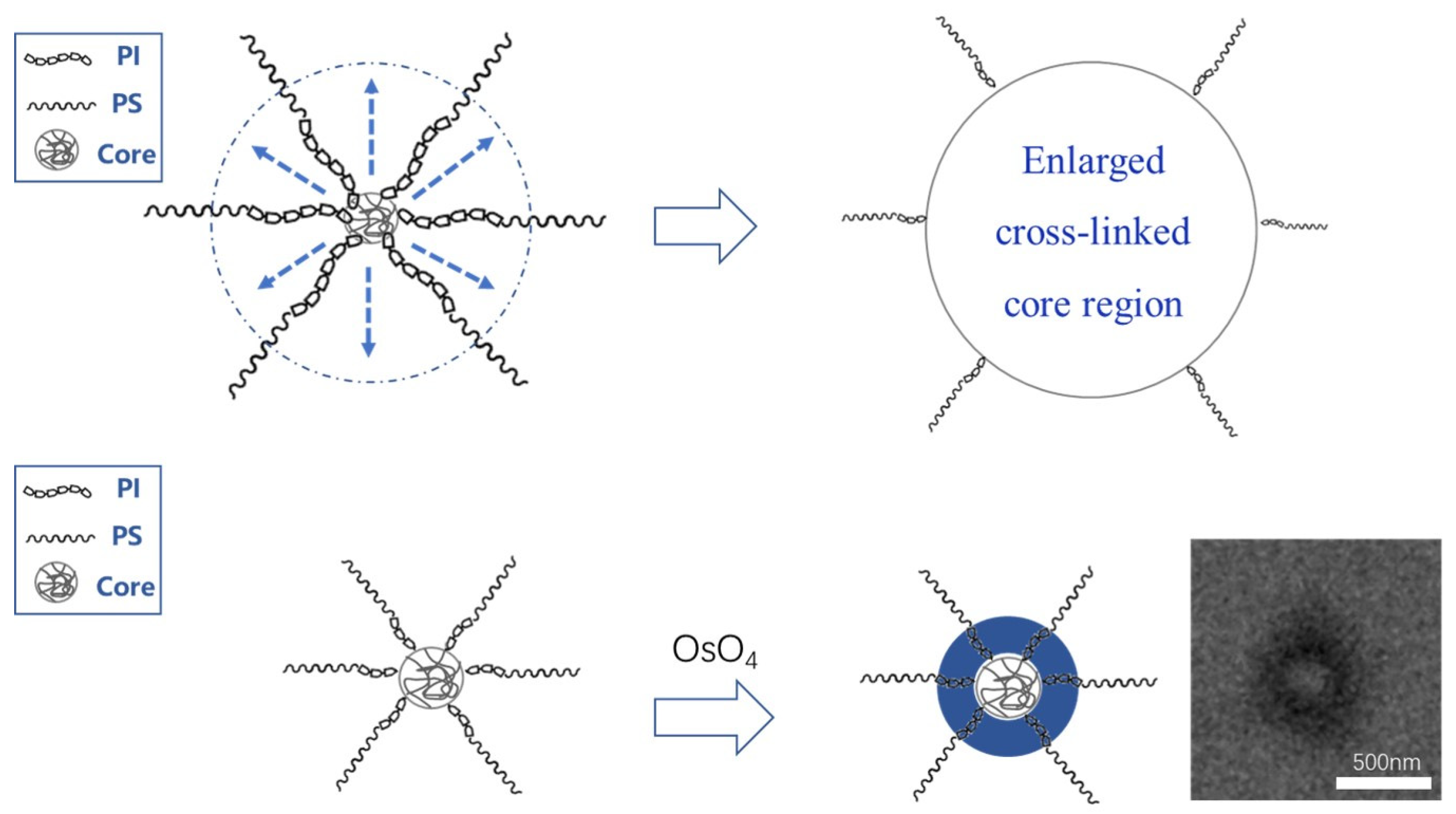 Polymers 15 02002 g007