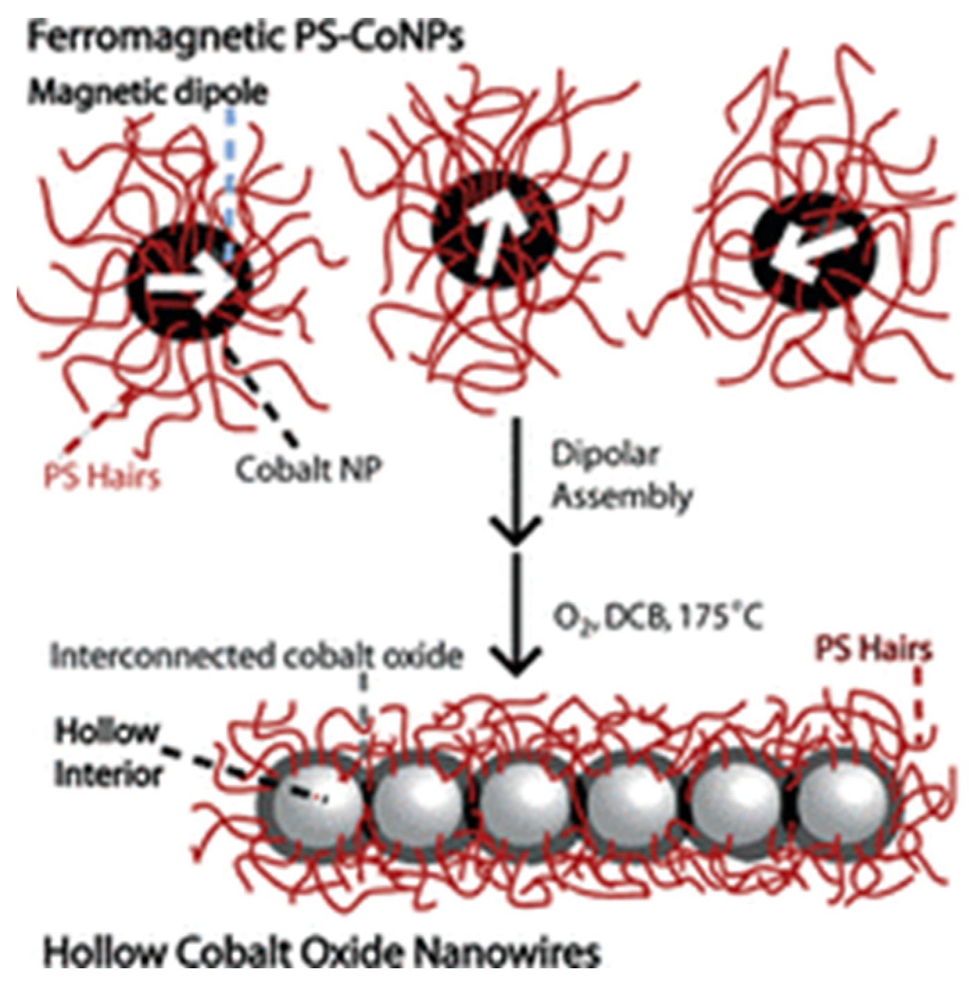 Polymers 15 02009 g002