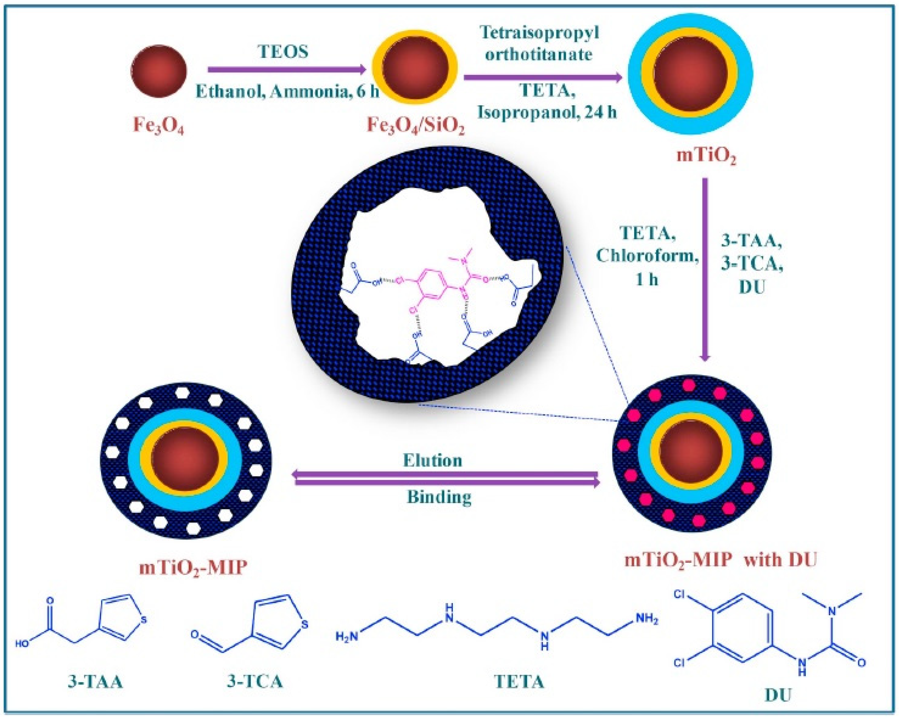 Polymers 15 02009 g003