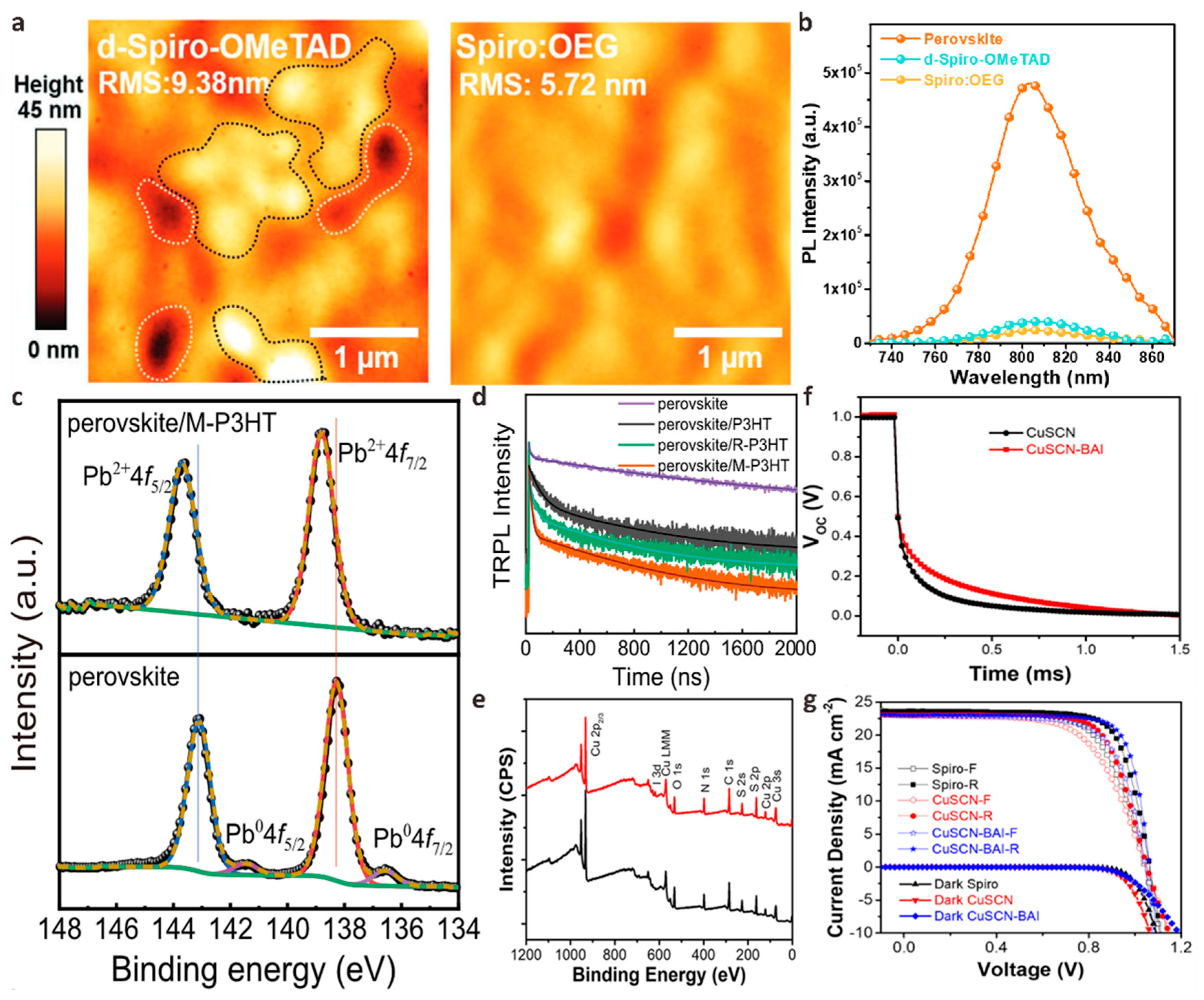 Polymers 15 02010 g008