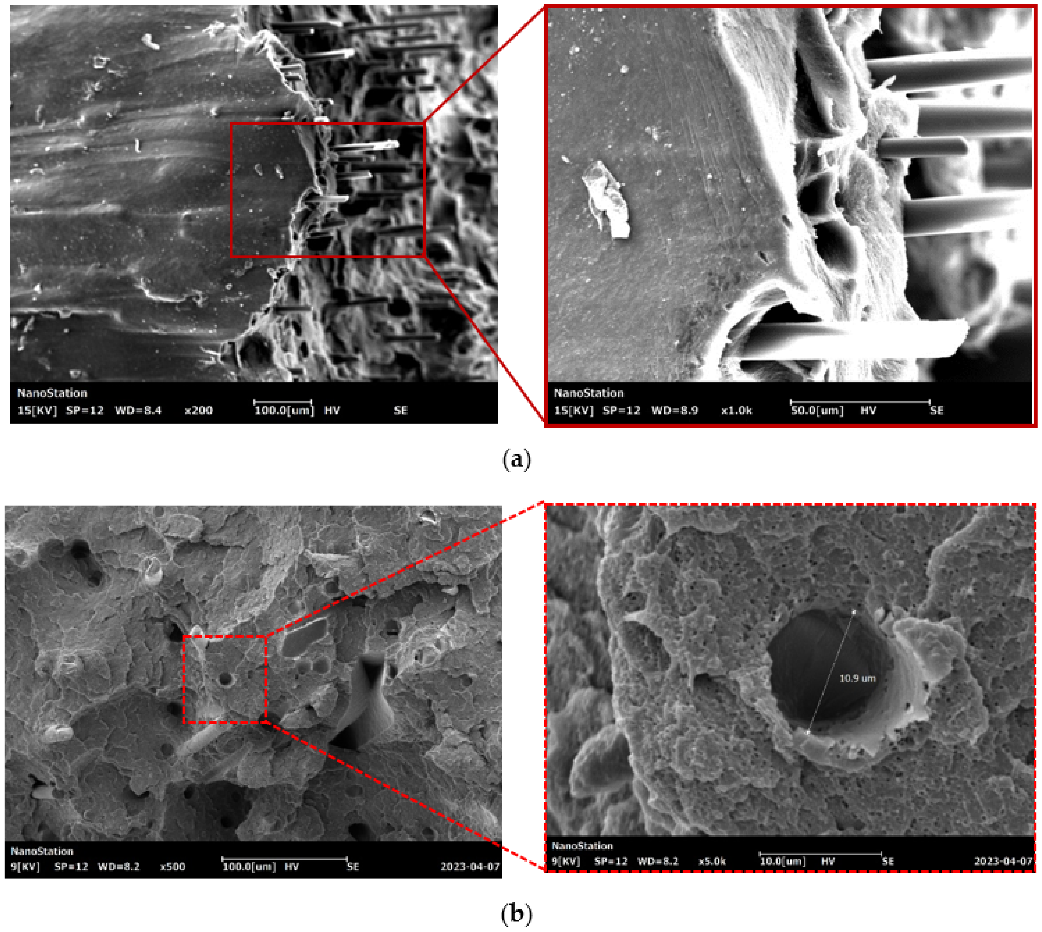 Polymers 15 02011 g006