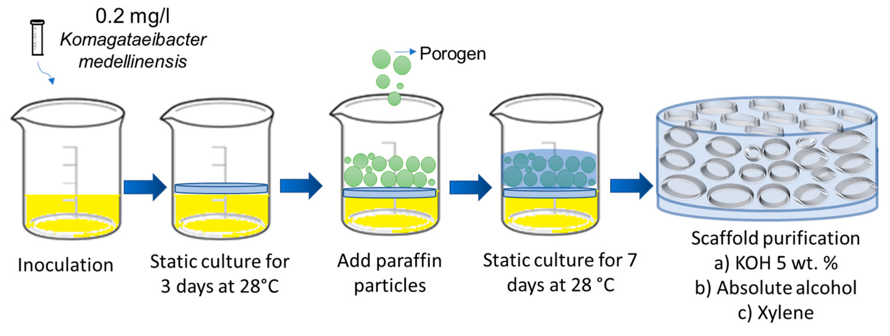 Polymers 15 02012 g001