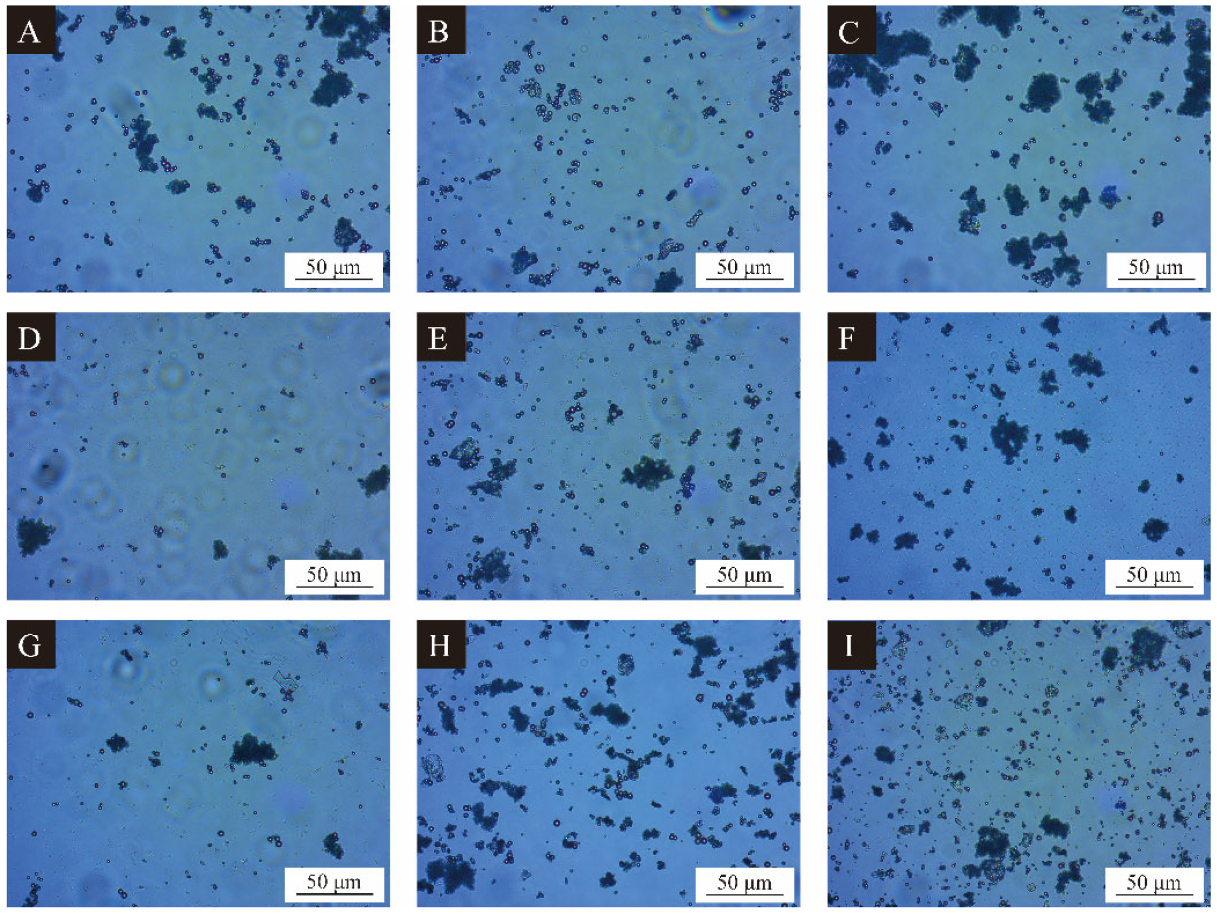 Polymers 15 02016 g001
