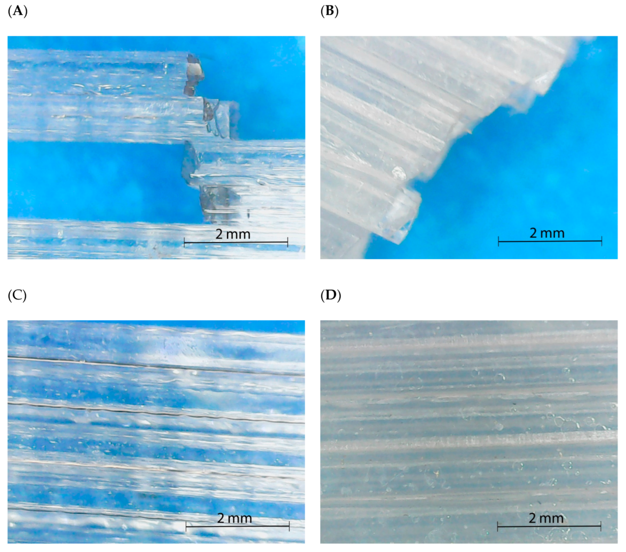 Polymers 15 02019 g007
