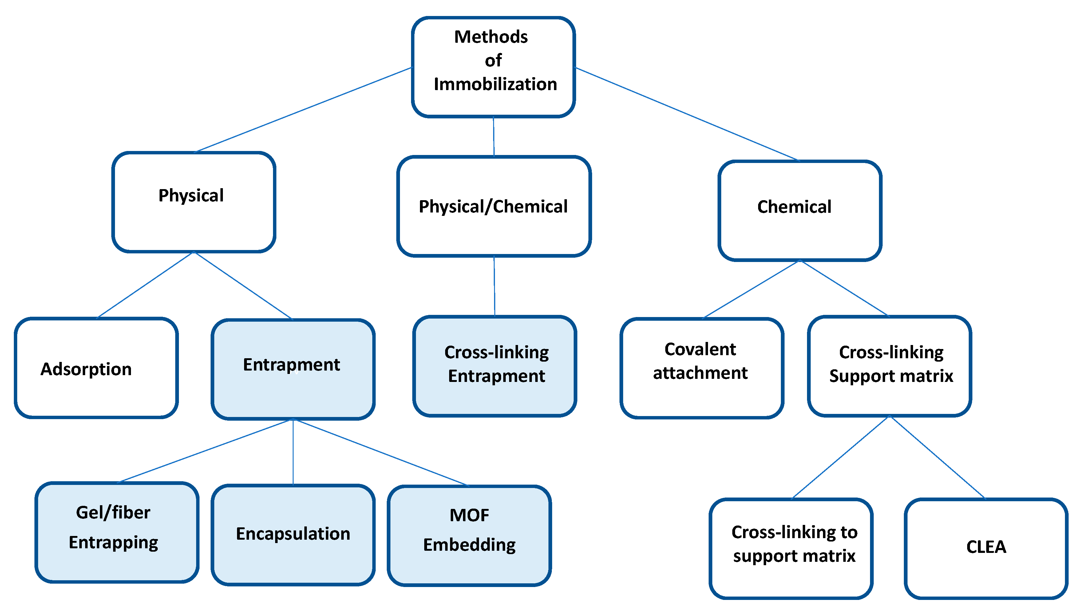 Polymers 15 02021 g001