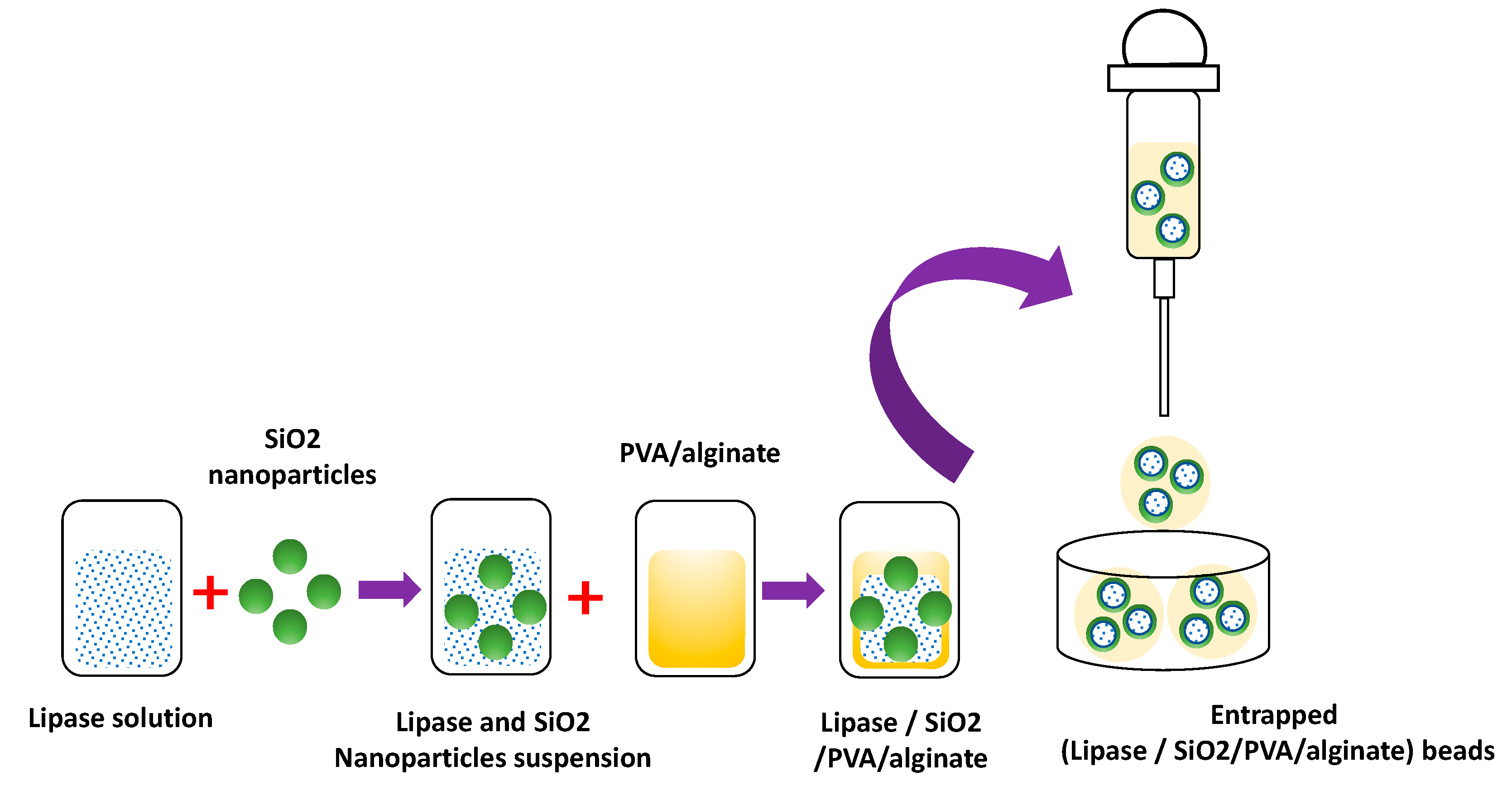Polymers 15 02021 g005