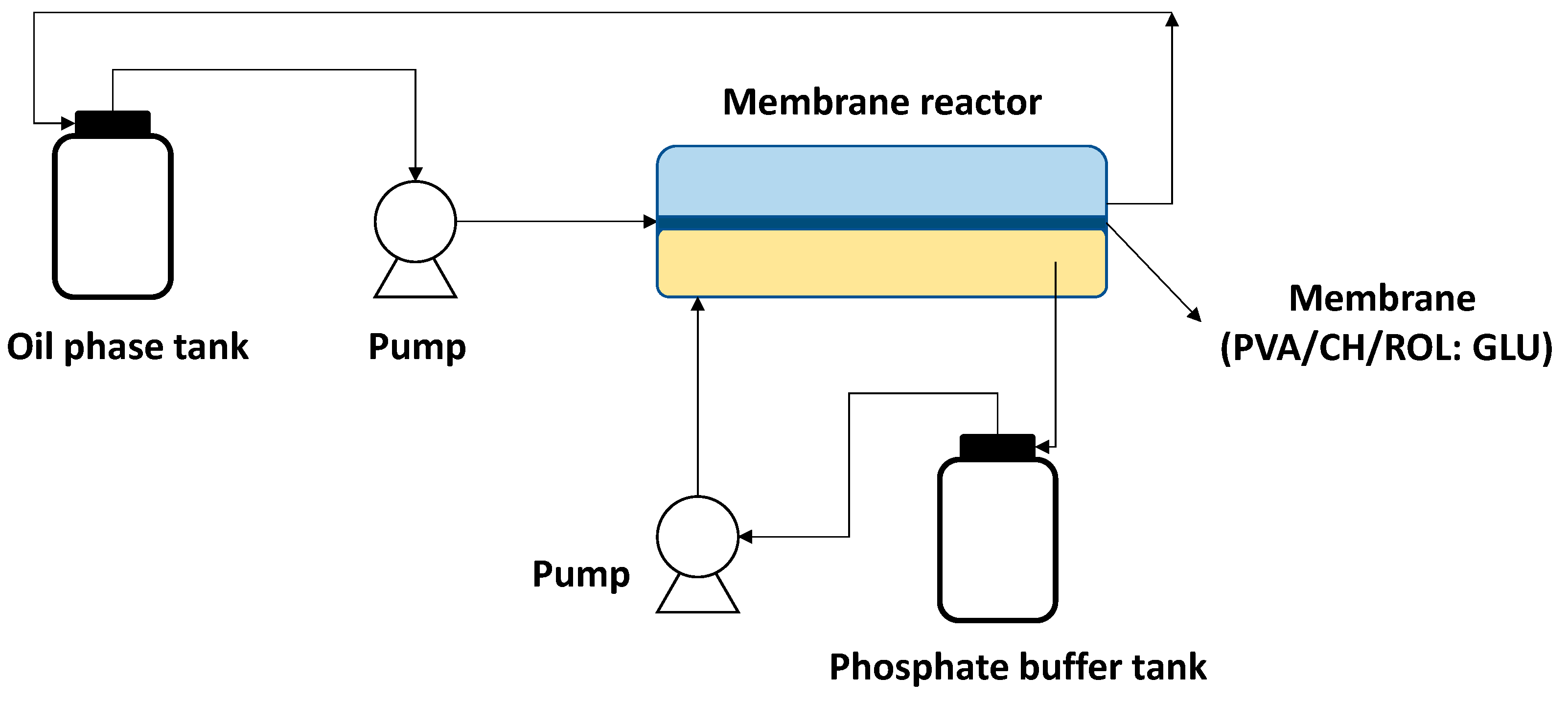Polymers 15 02021 g006
