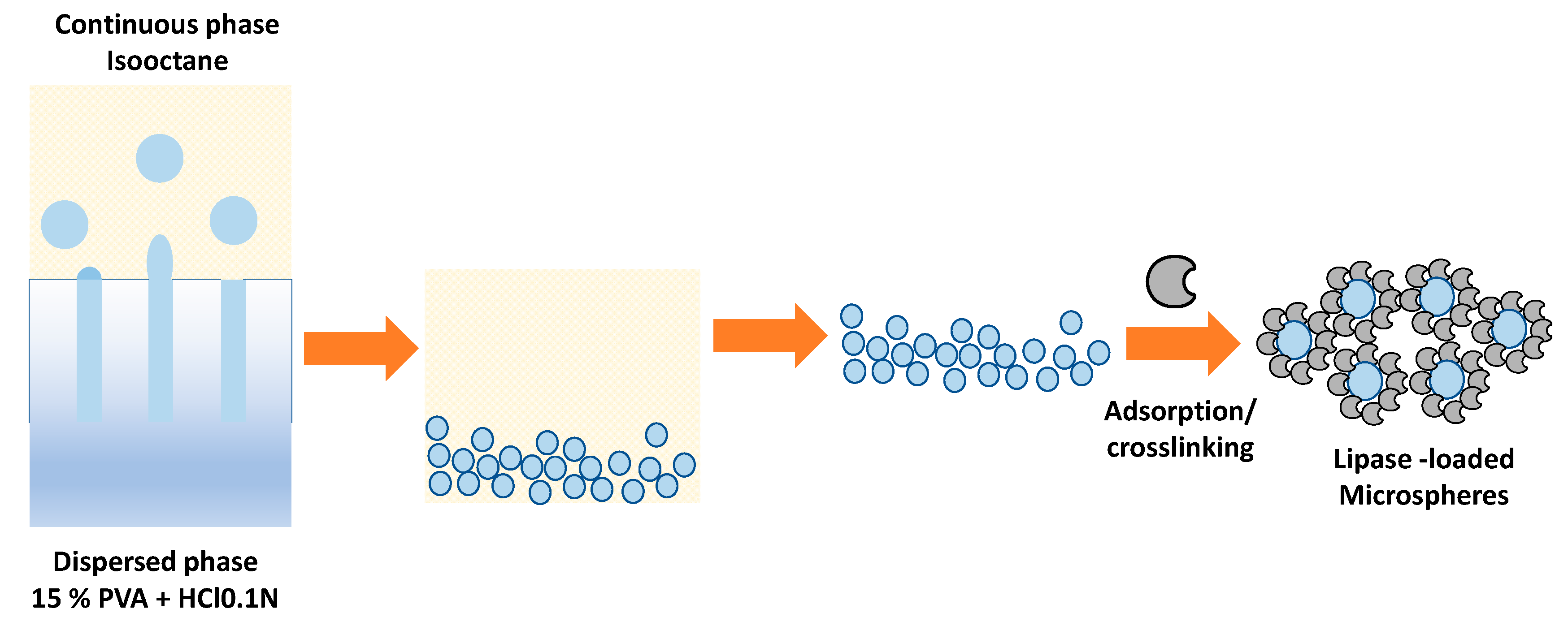 Polymers 15 02021 g008