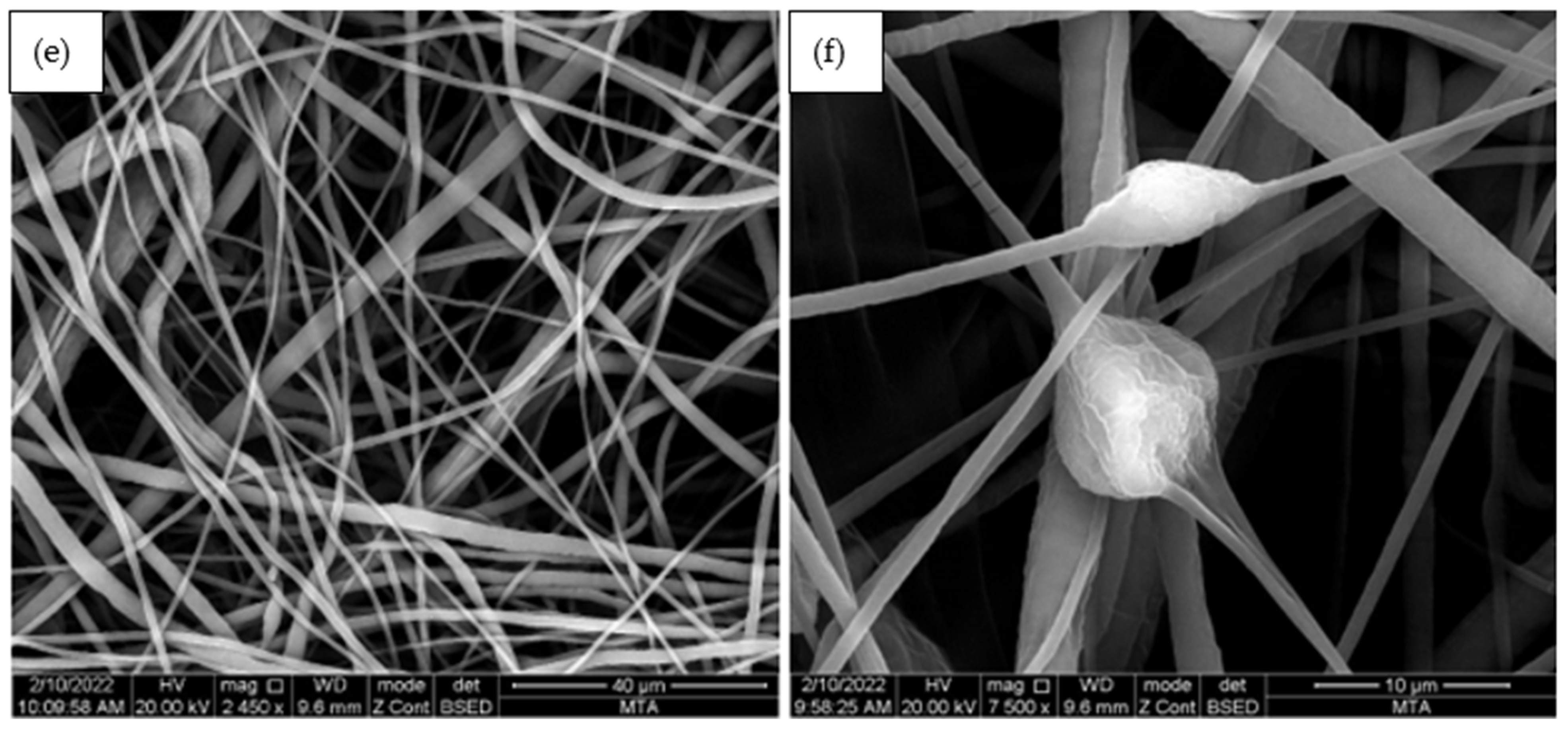 Polymers 15 02022 g005b