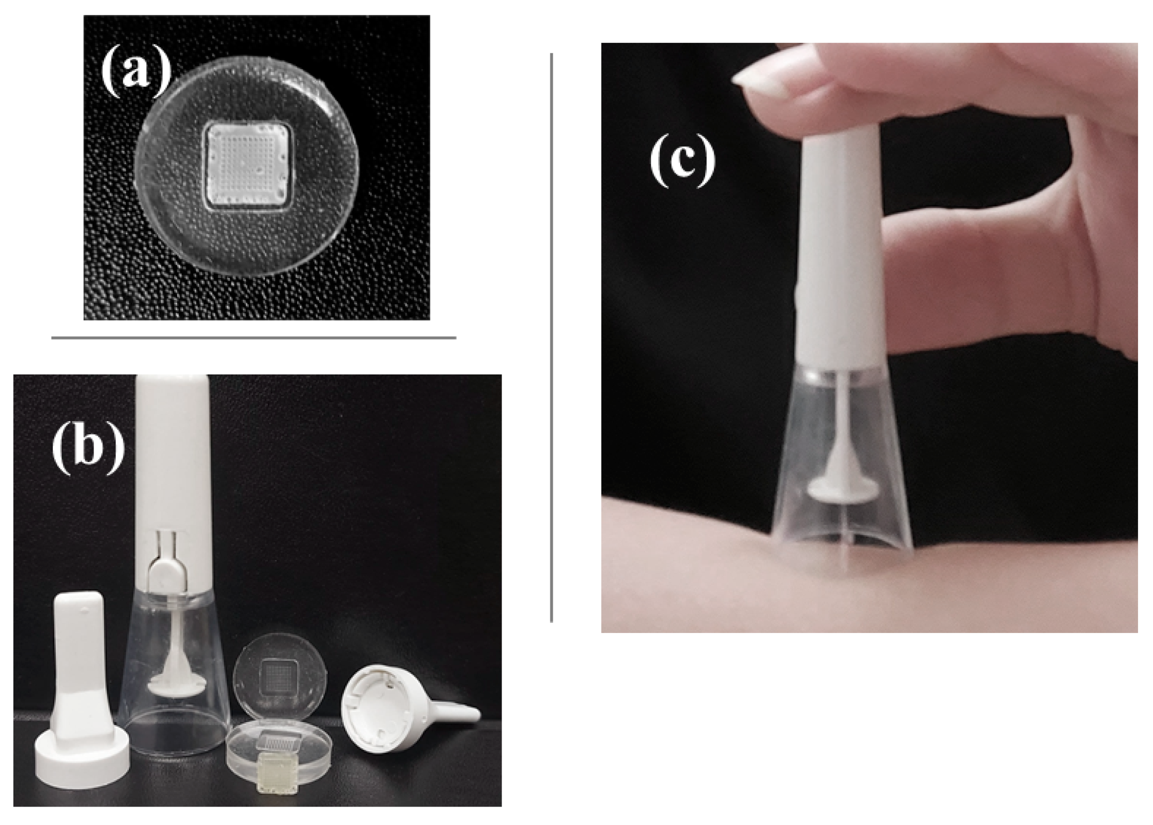 Polymers 15 02031 g001