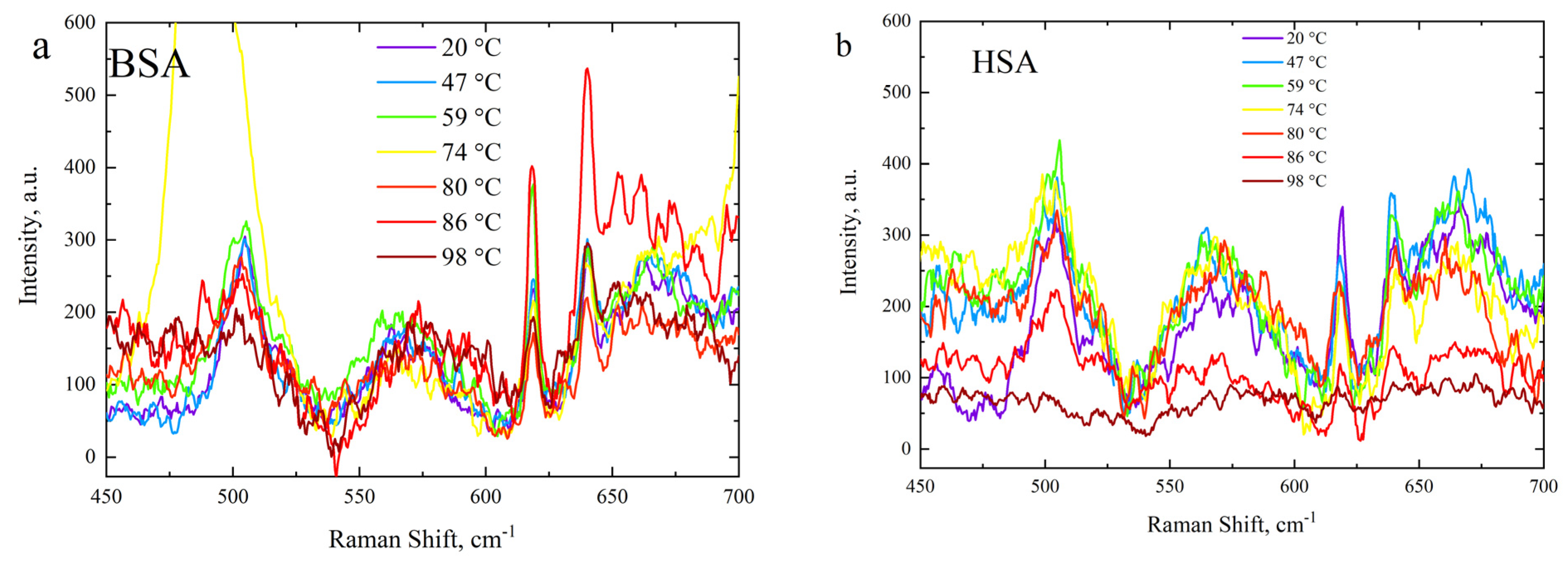 Polymers 15 02039 g007