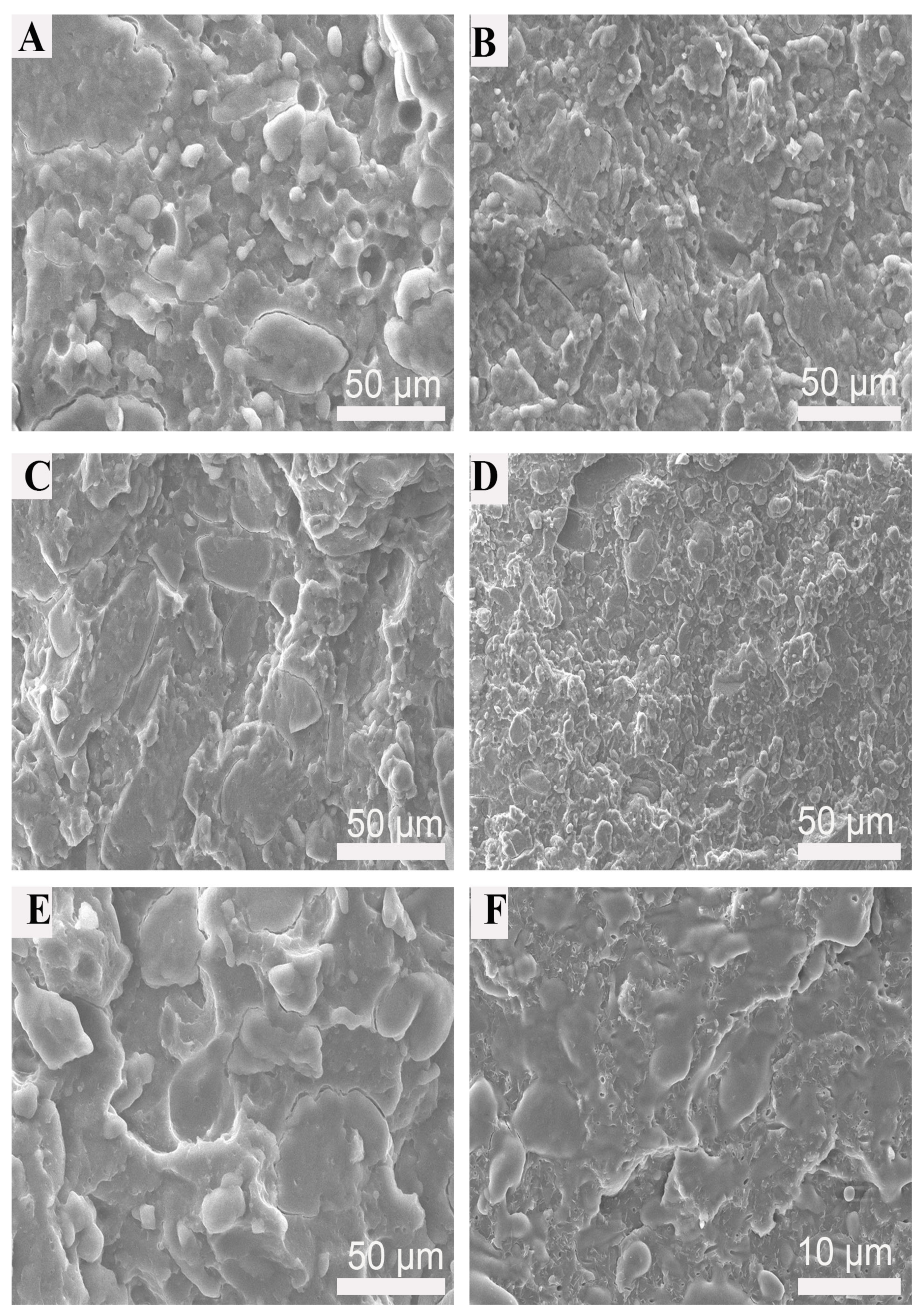 Polymers 15 02040 g009