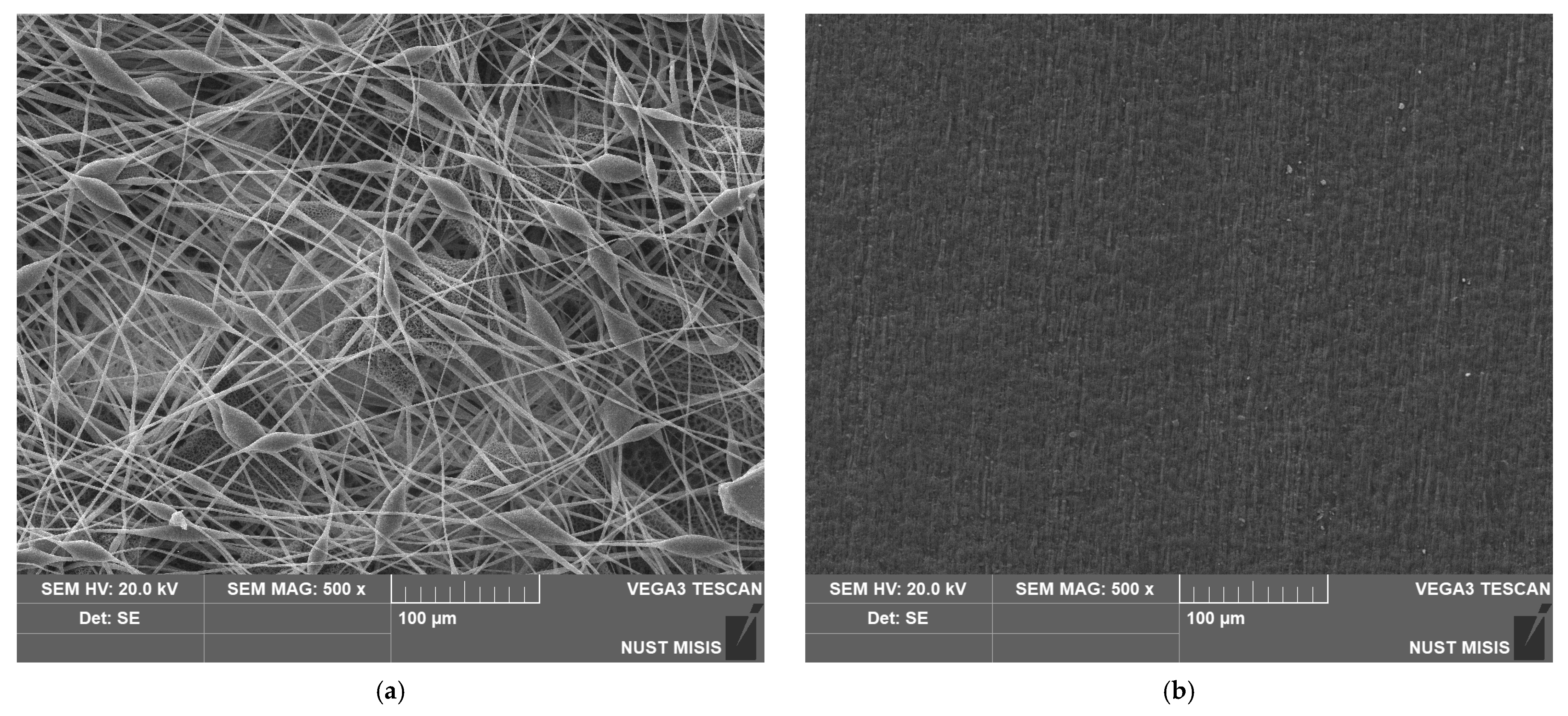 Polymers 15 02042 g004