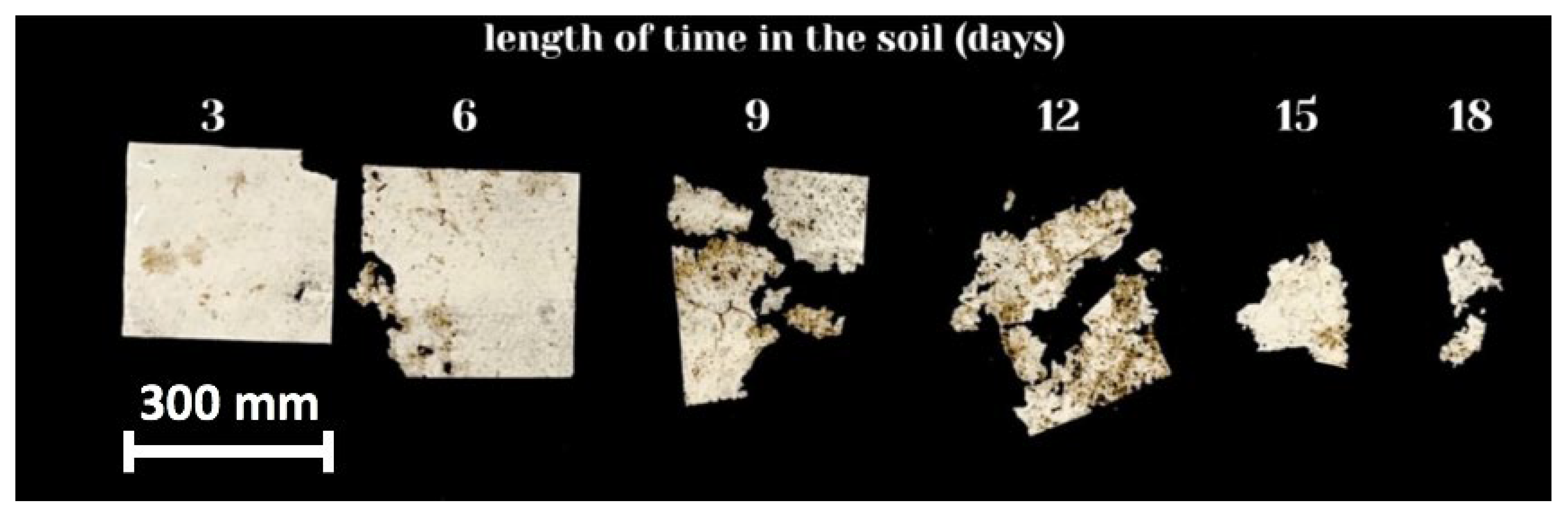 Polymers 15 02042 g006