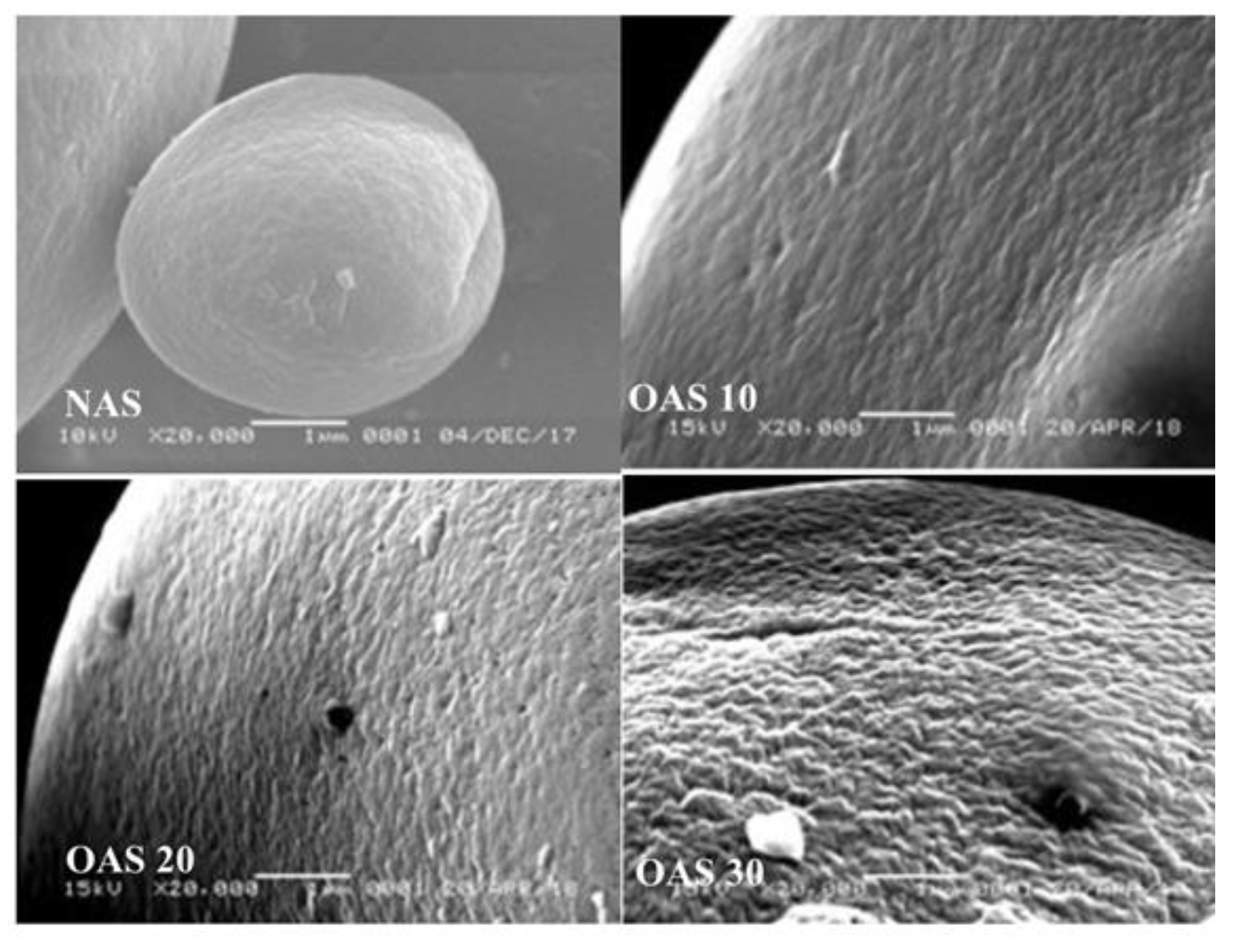 Polymers 15 02046 g003 Polymers 15 02046 g003