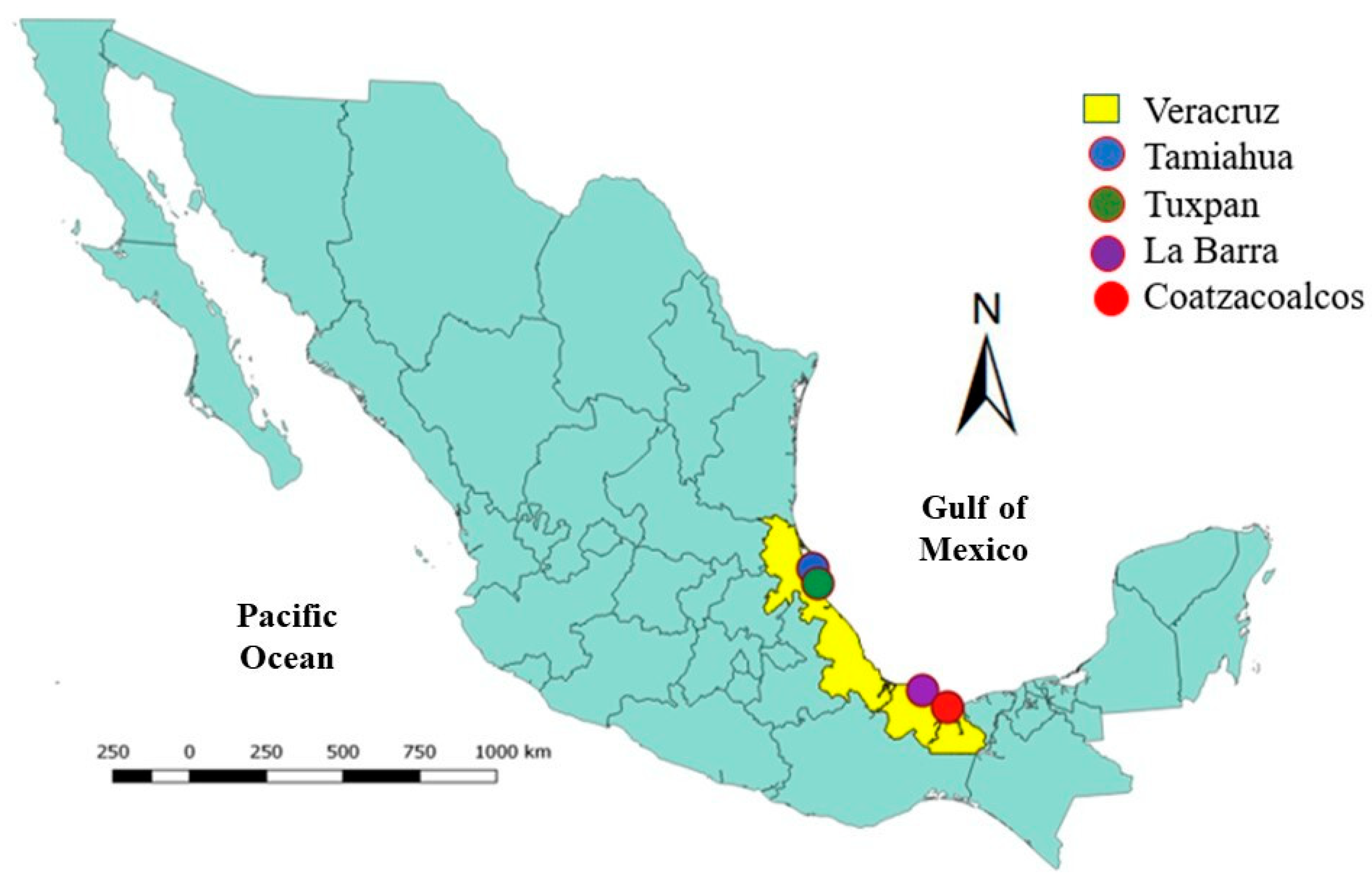 Polymers 15 02050 g002