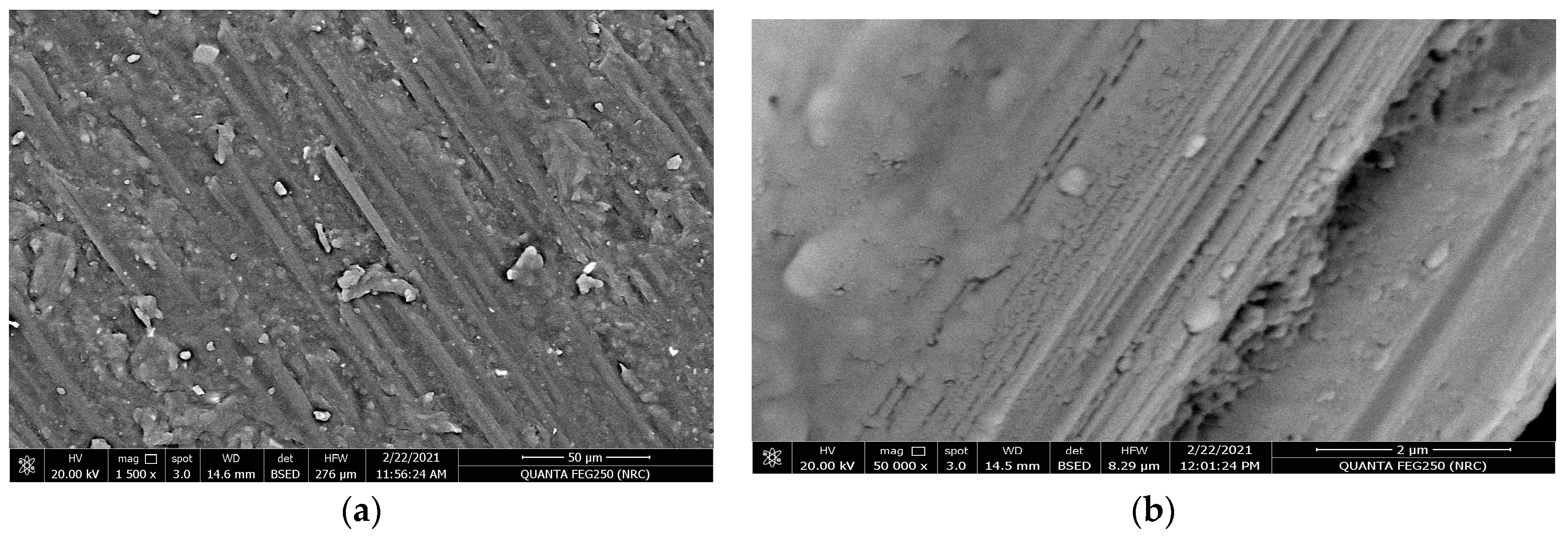 Polymers 15 02064 g011