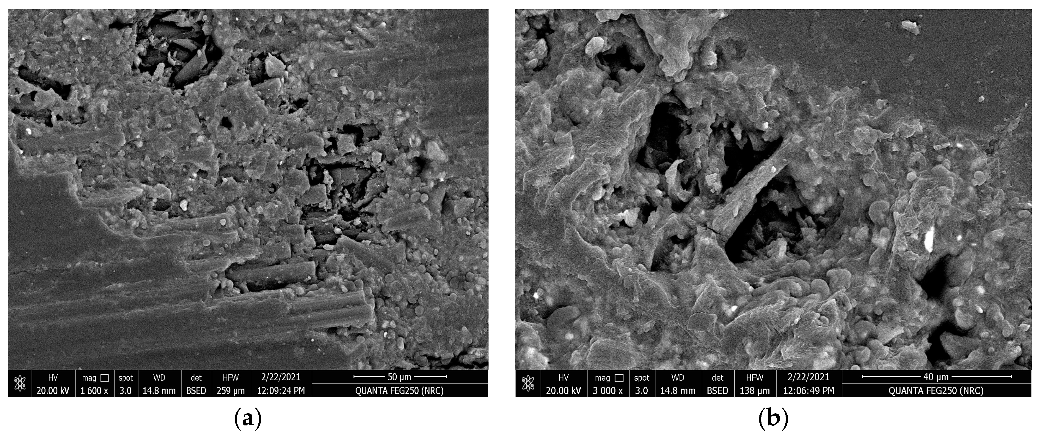 Polymers 15 02064 g015