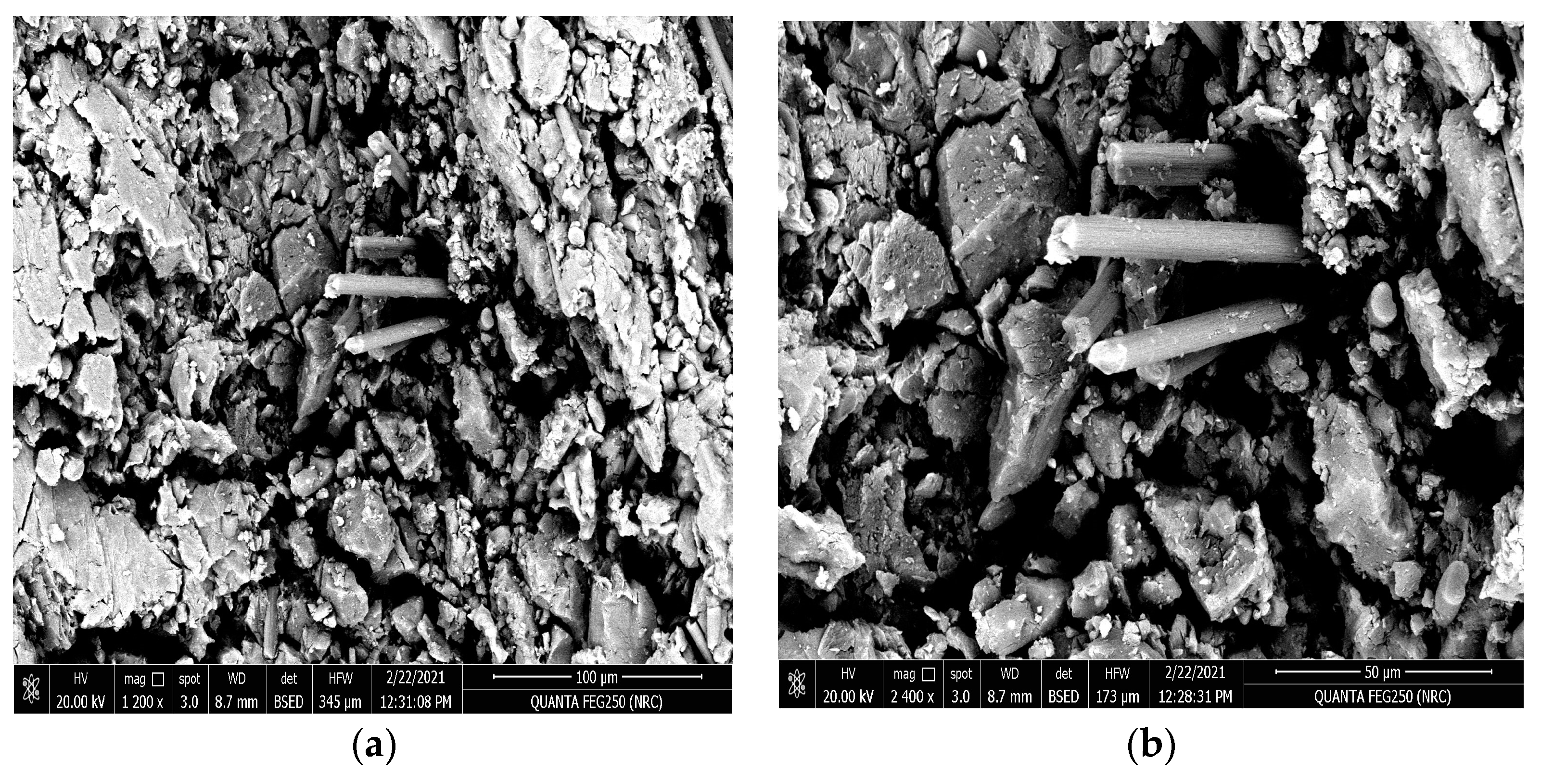 Polymers 15 02064 g016