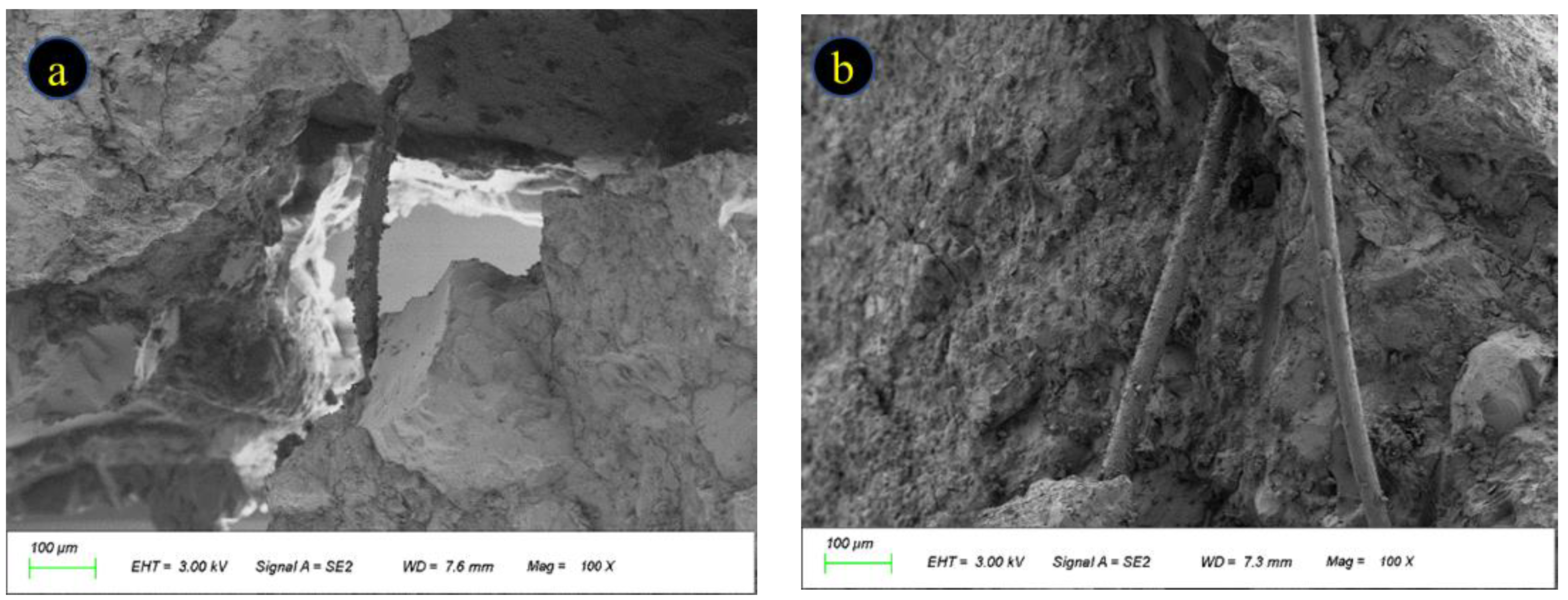 Polymers 15 02066 g013a Polymers 15 02066 g013a