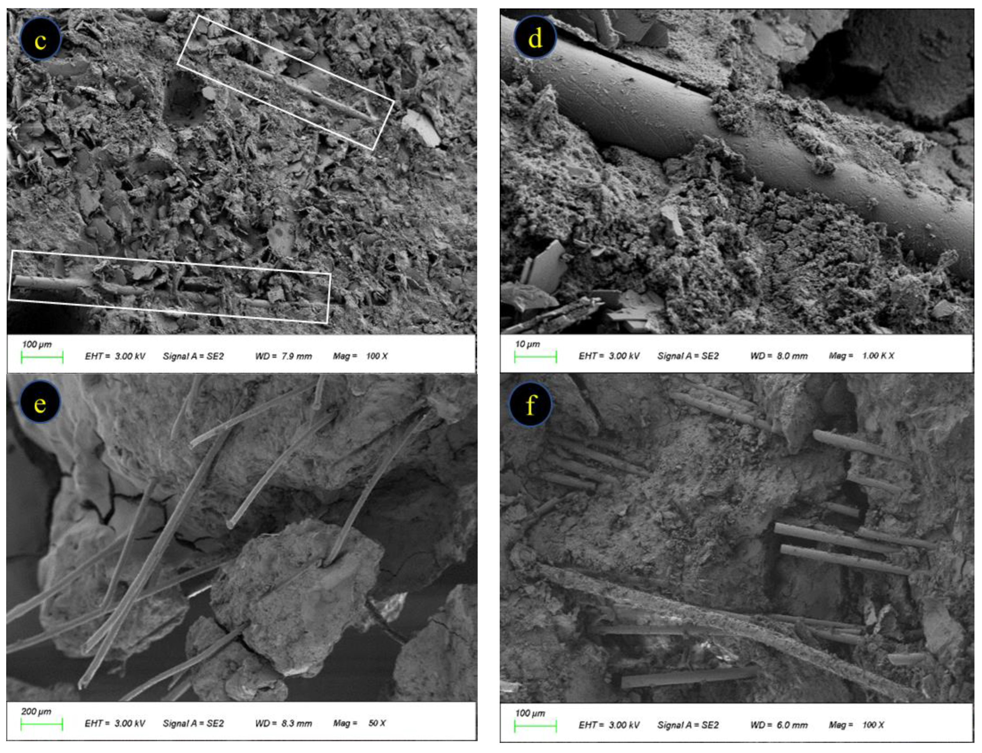 Polymers 15 02066 g013b Polymers 15 02066 g013b