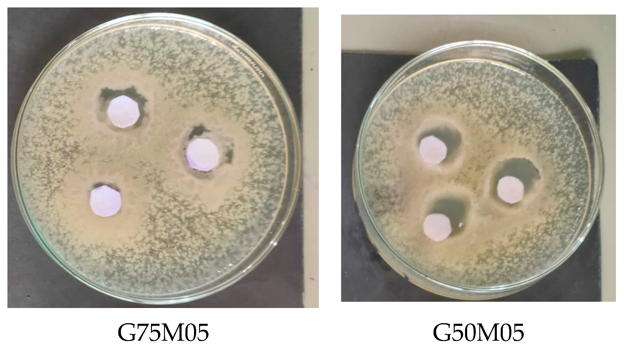 Polymers 15 02075 g005