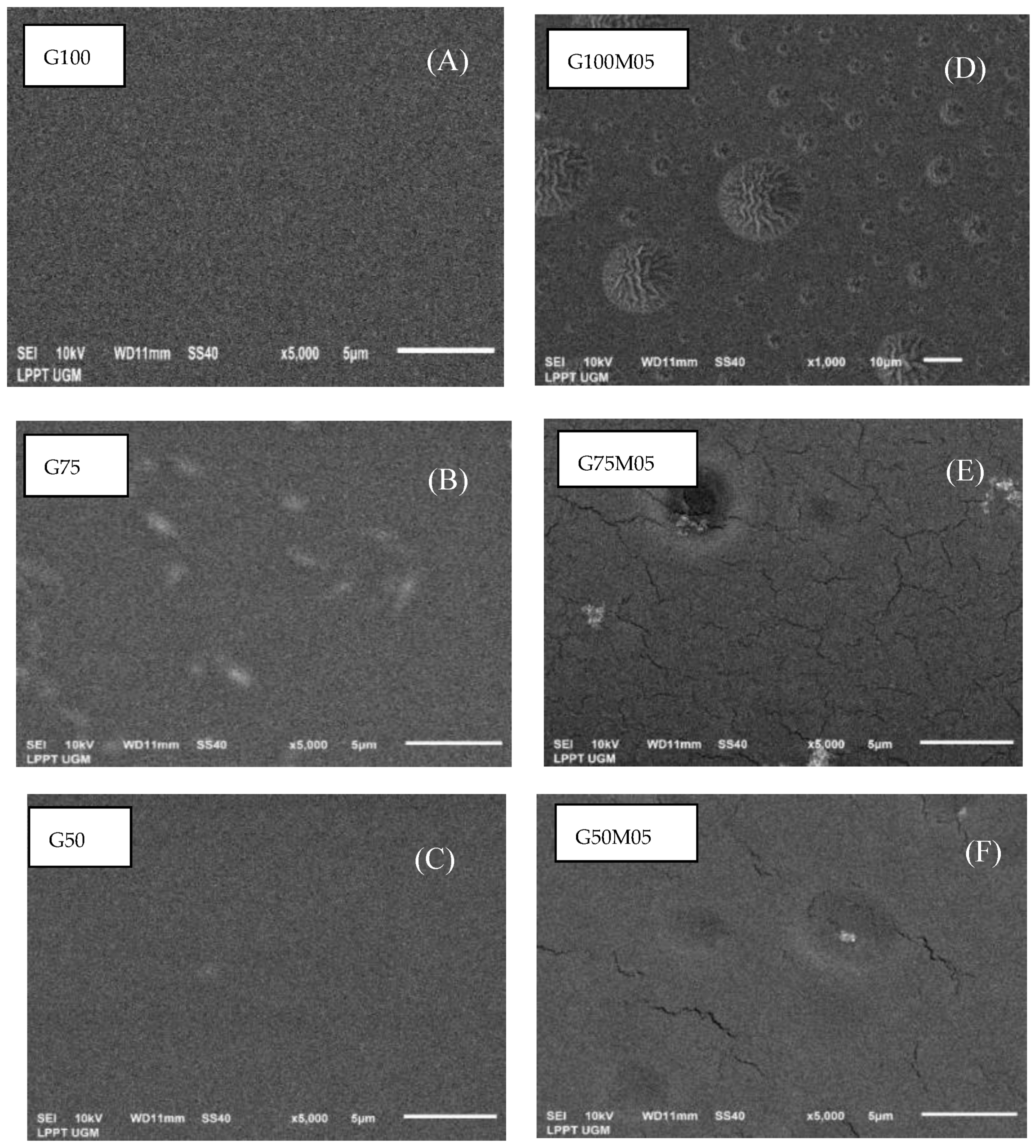Polymers 15 02075 g007