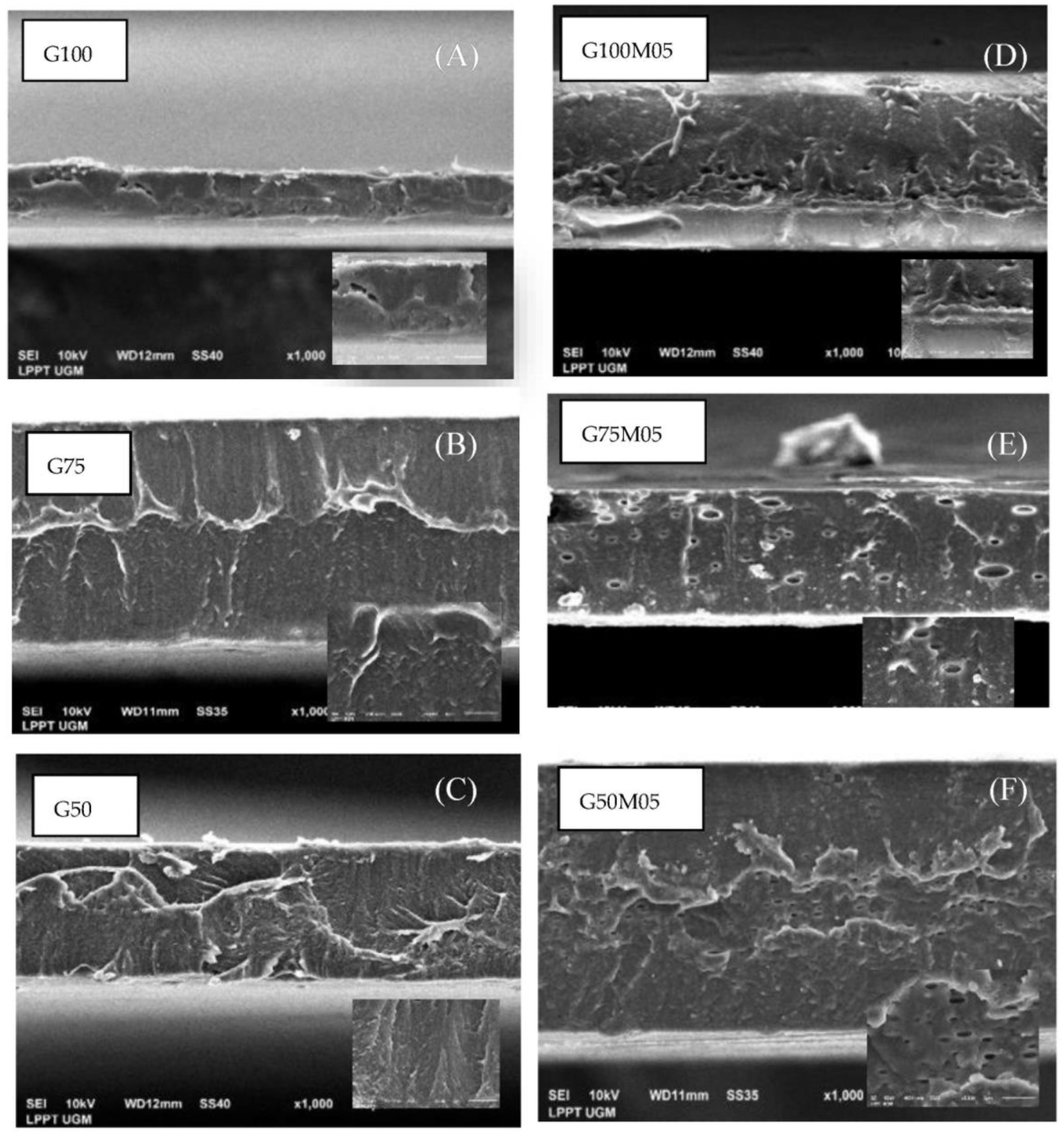 Polymers 15 02075 g008