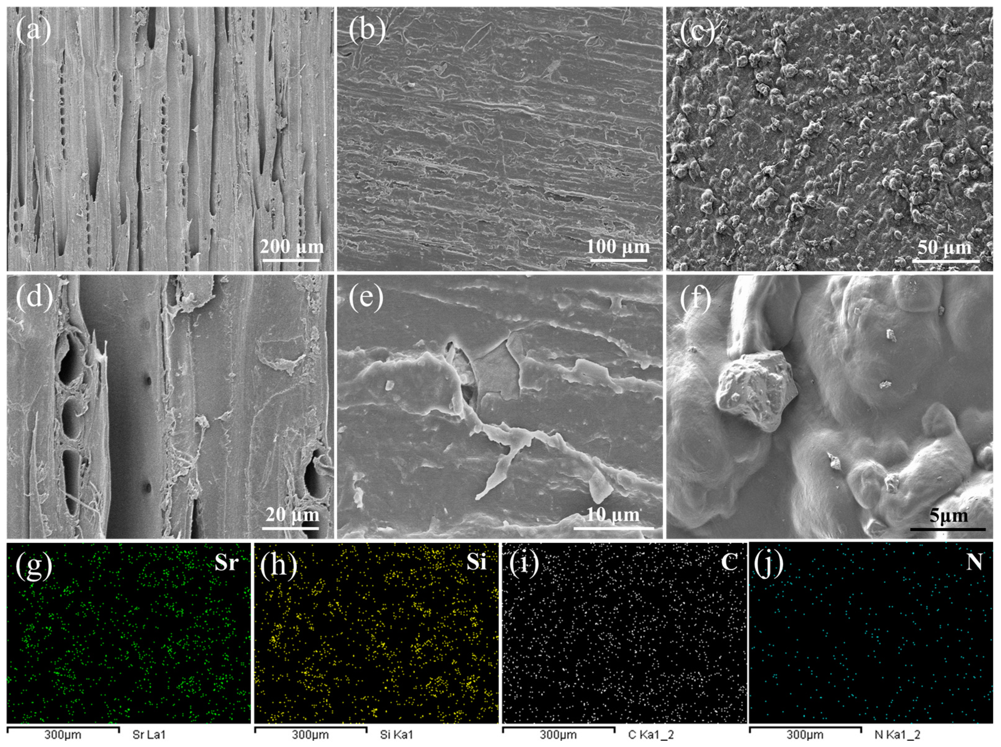 Polymers 15 02077 g007