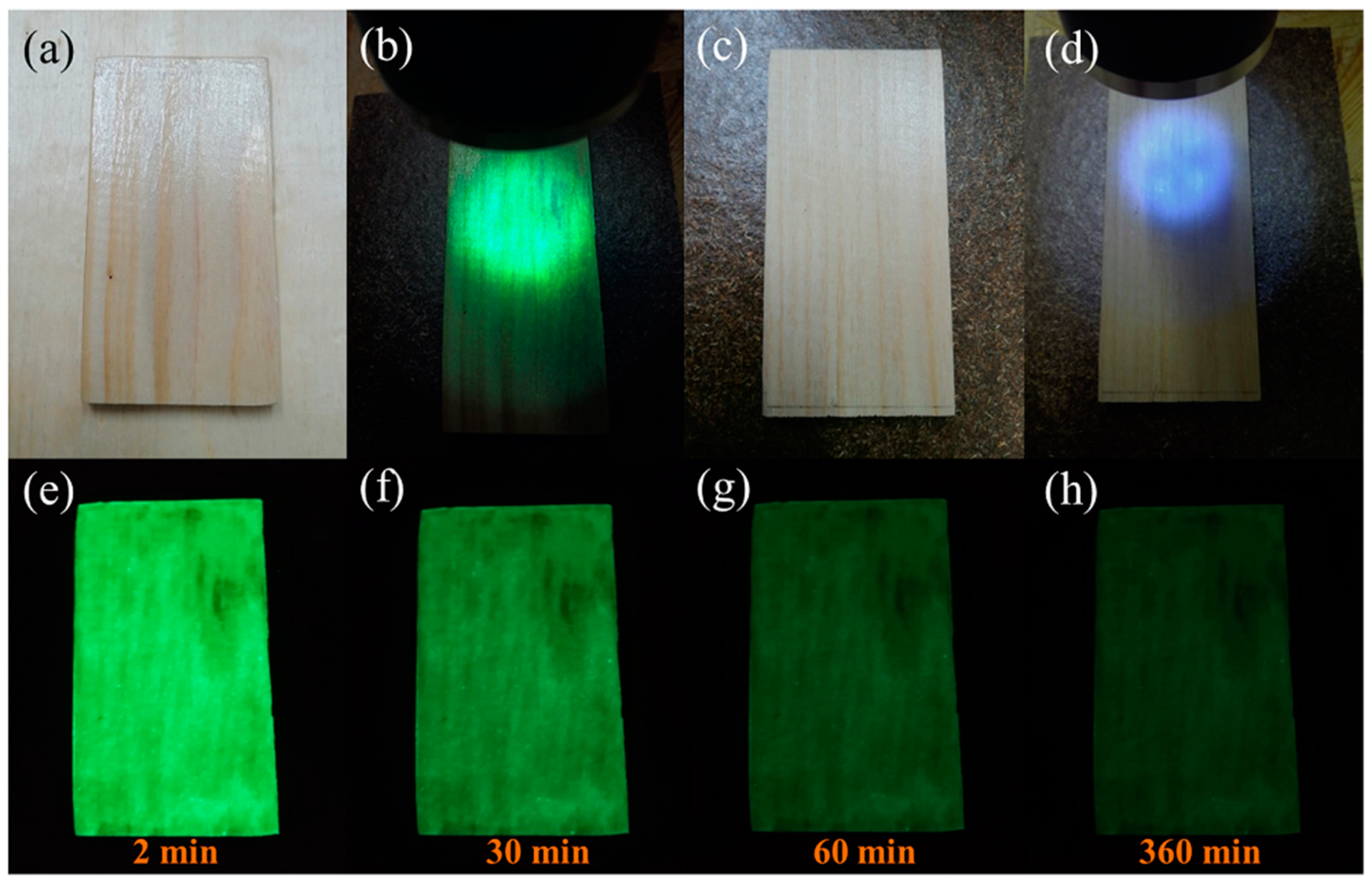Polymers 15 02077 g009