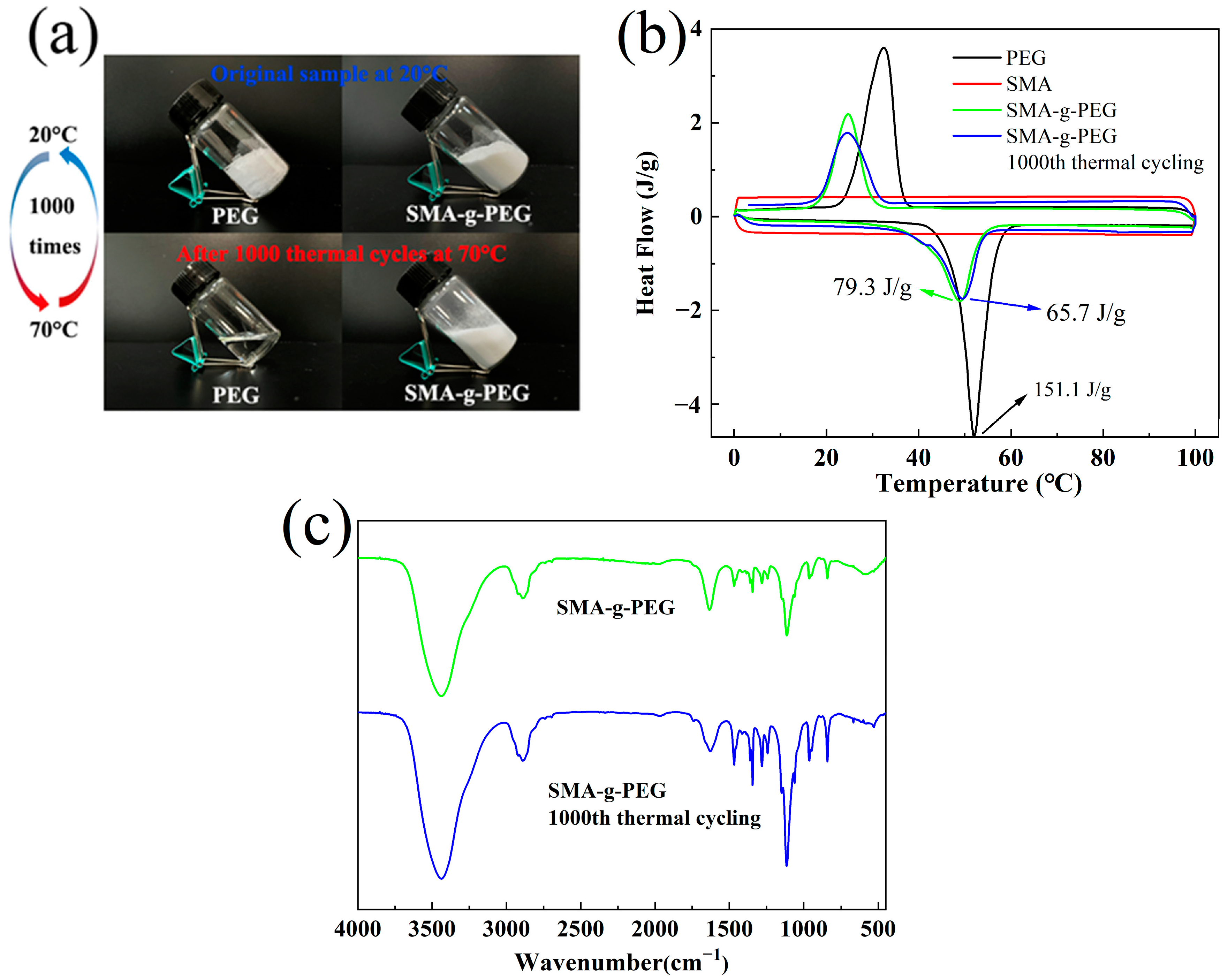 Polymers 15 02090 g007