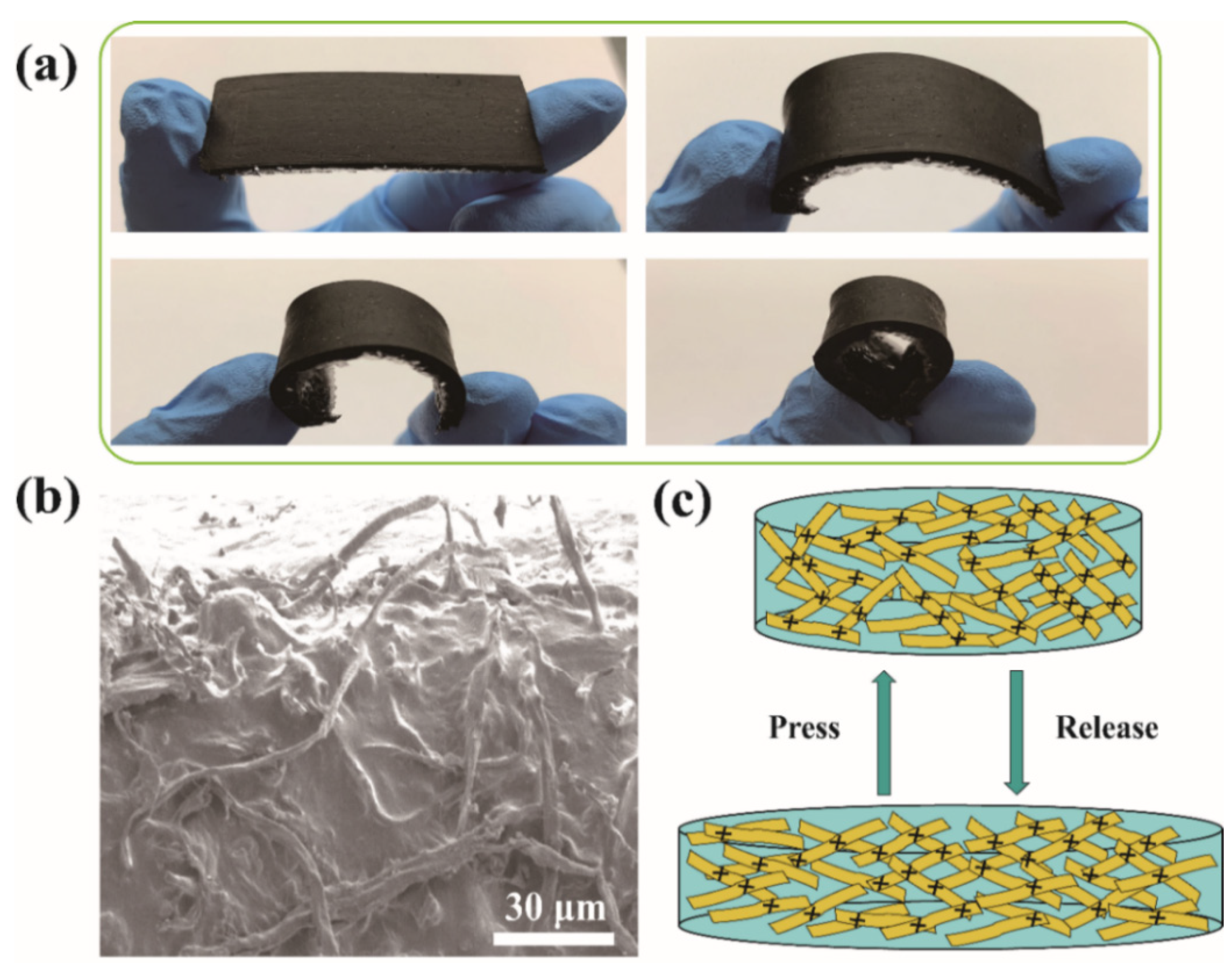 Polymers 15 02095 g005