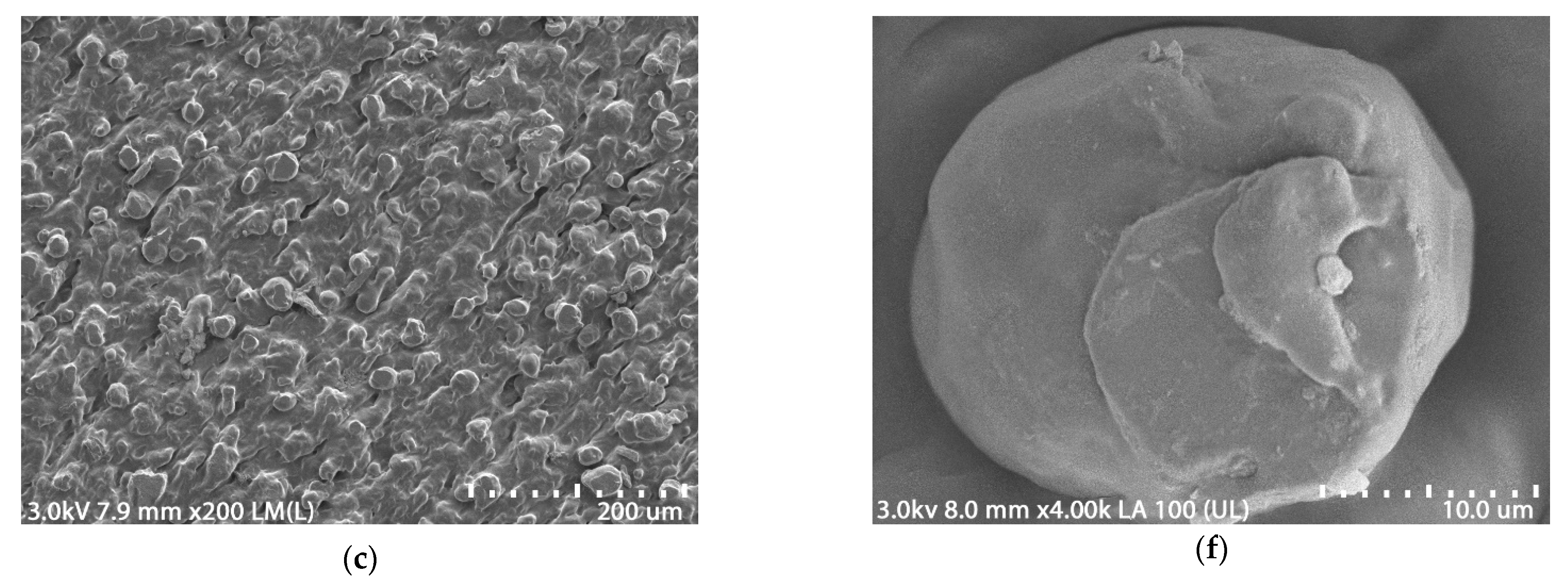 Polymers 15 02104 g007b
