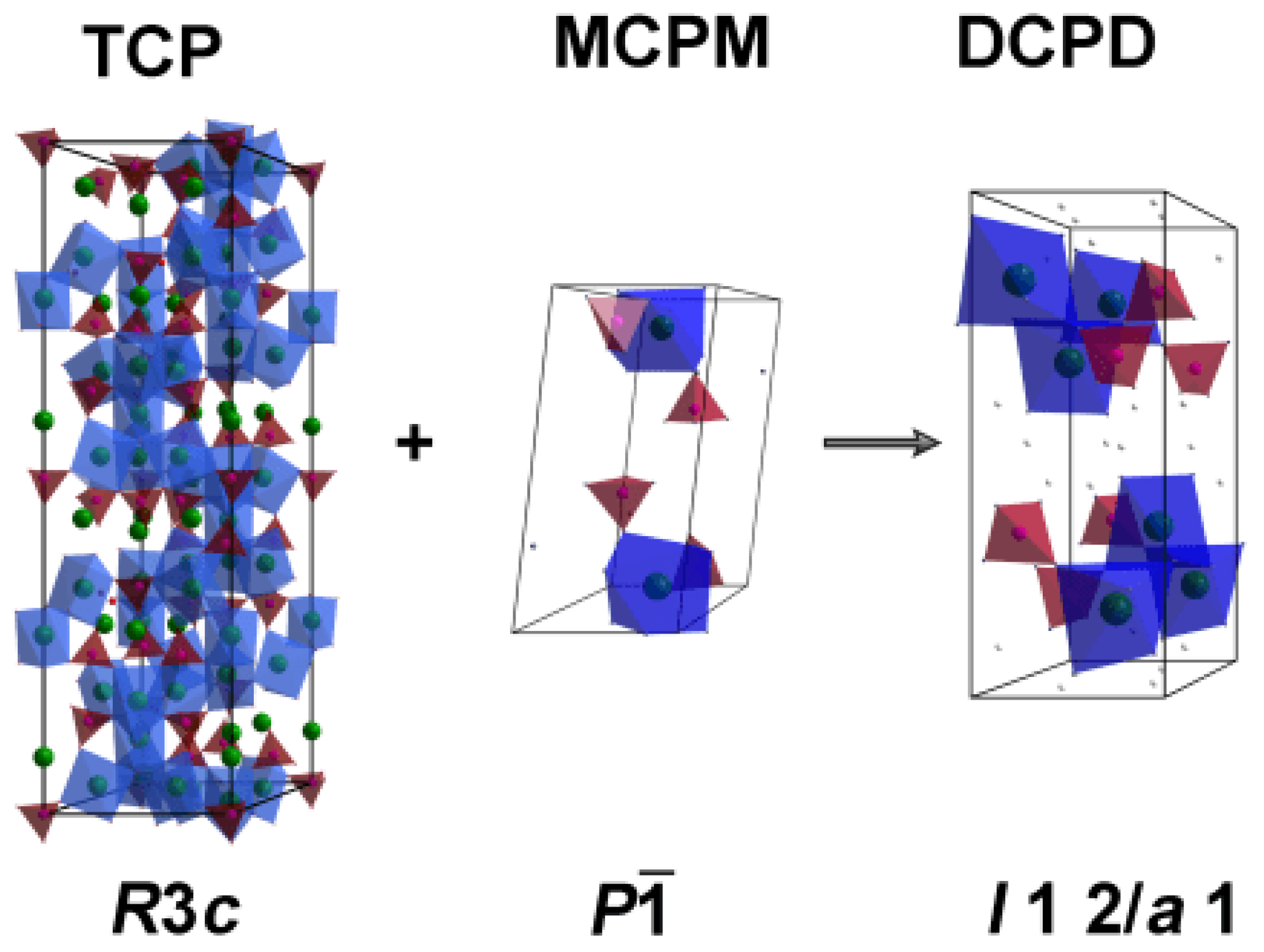 Polymers 15 02106 g002