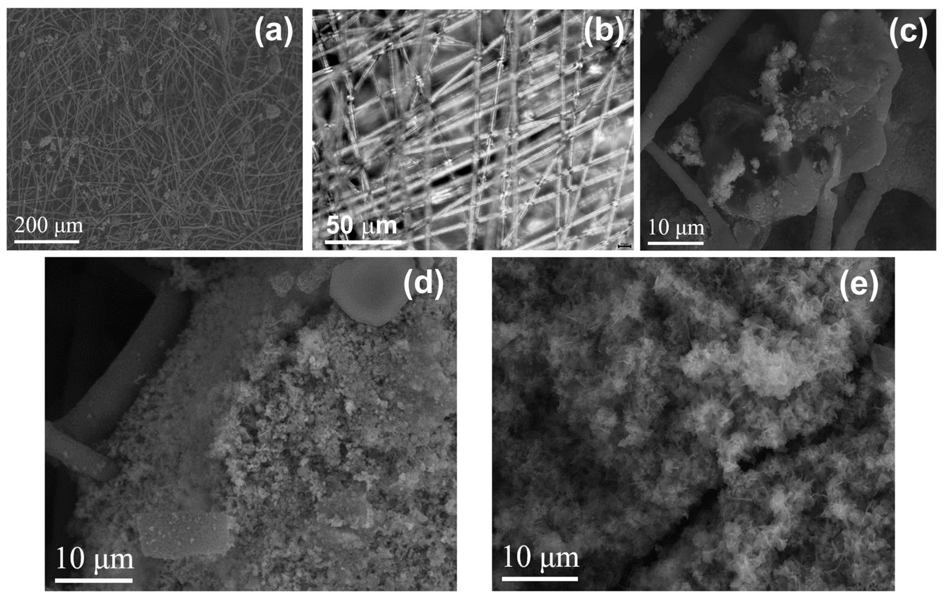 Polymers 15 02106 g010