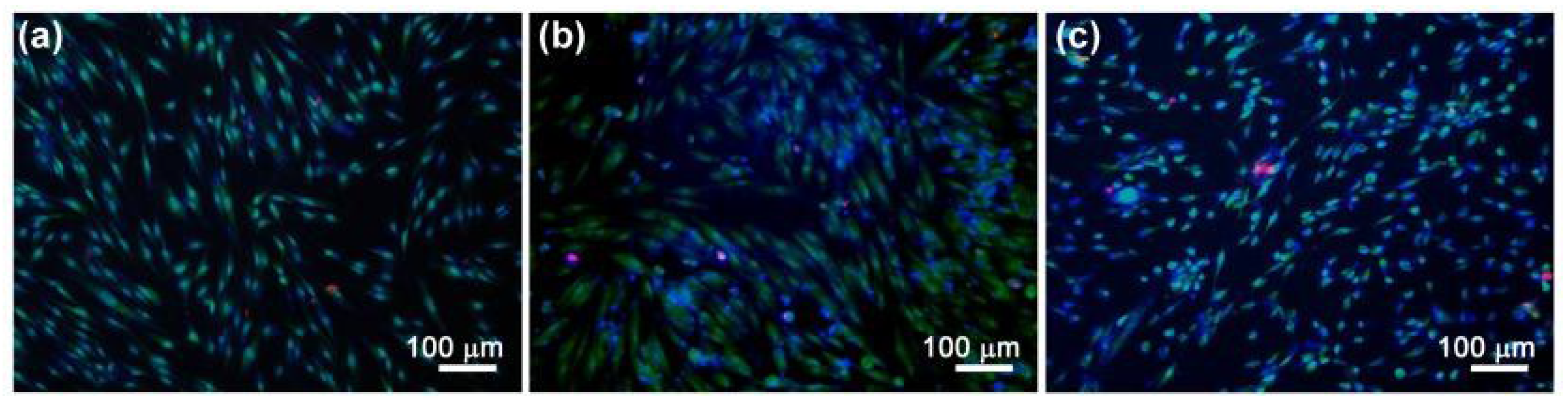 Polymers 15 02106 g014