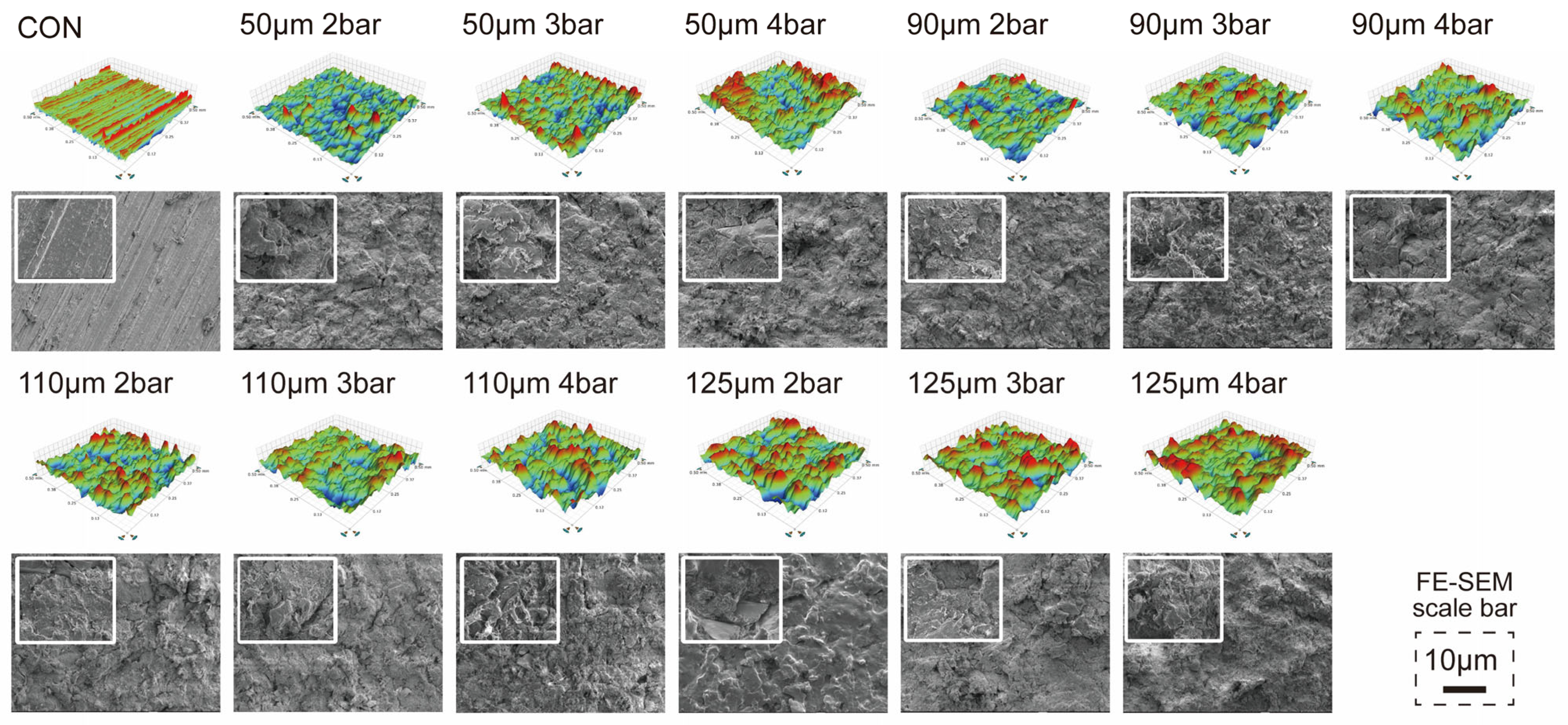 Polymers 15 02114 g001