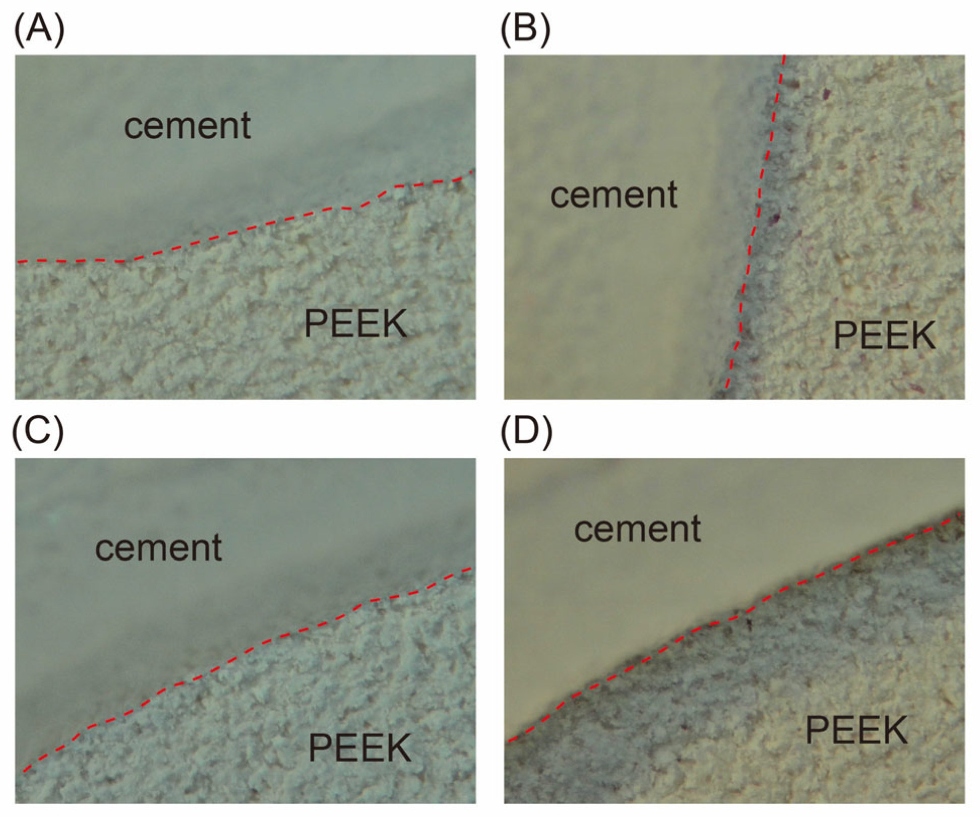 Polymers 15 02114 g003