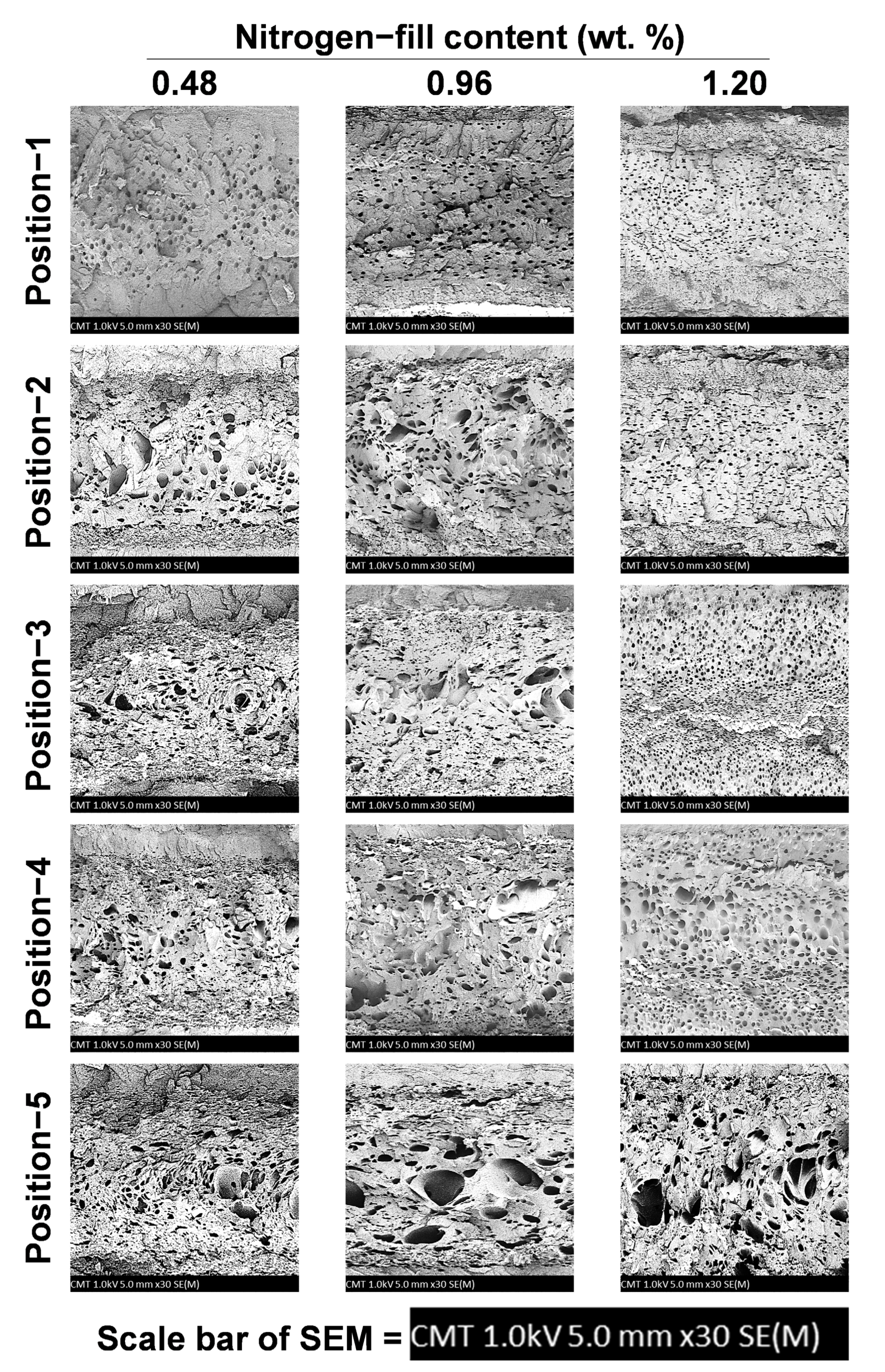 Polymers 15 02116 g010