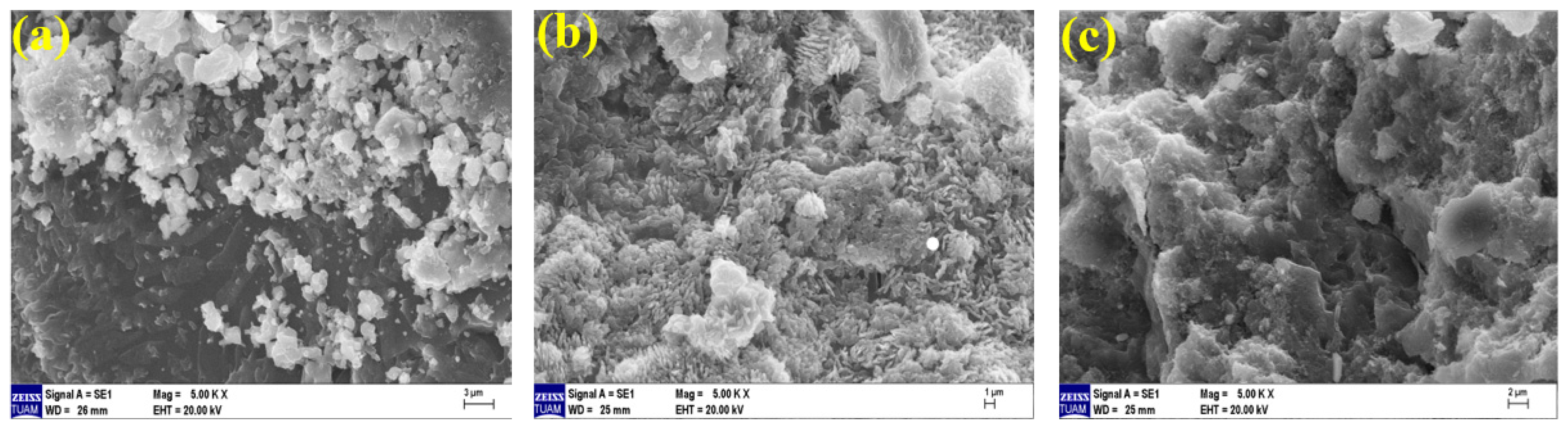 Polymers 15 02127 g023 Polymers 15 02127 g023