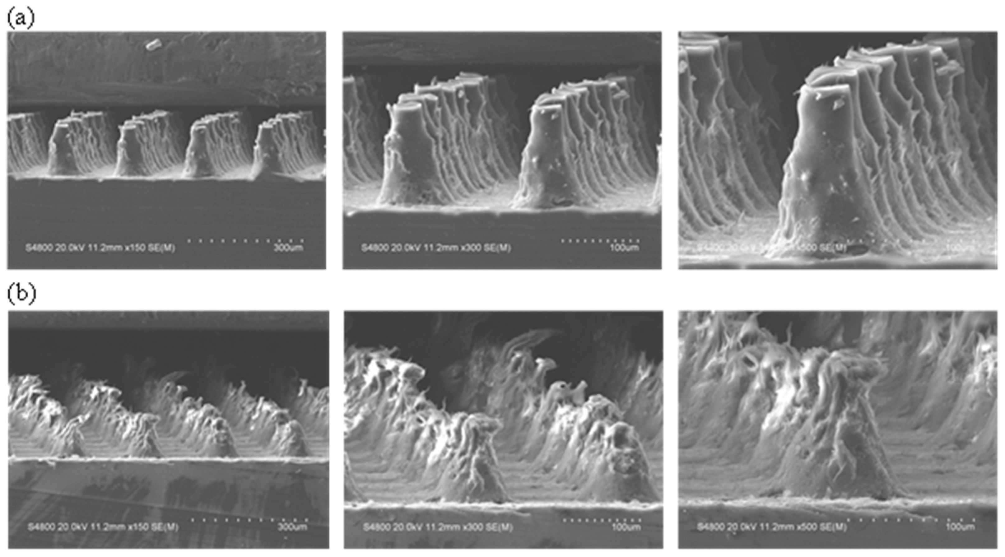 Polymers 15 02132 g004