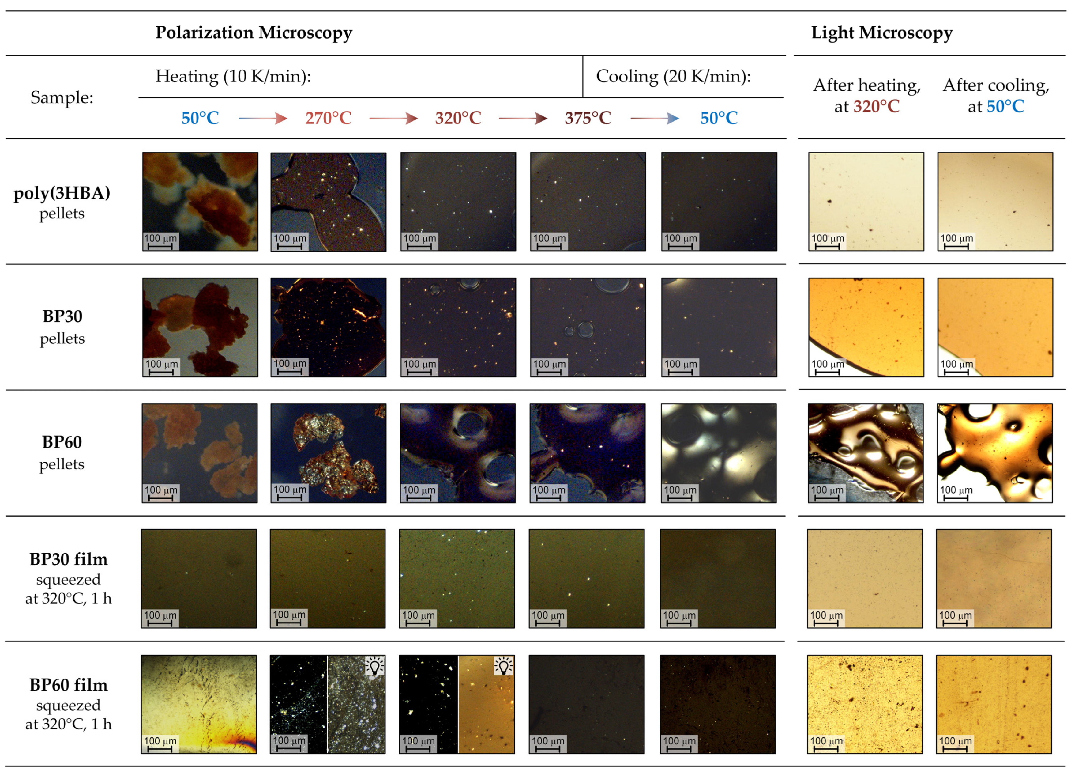 Polymers 15 02133 g012