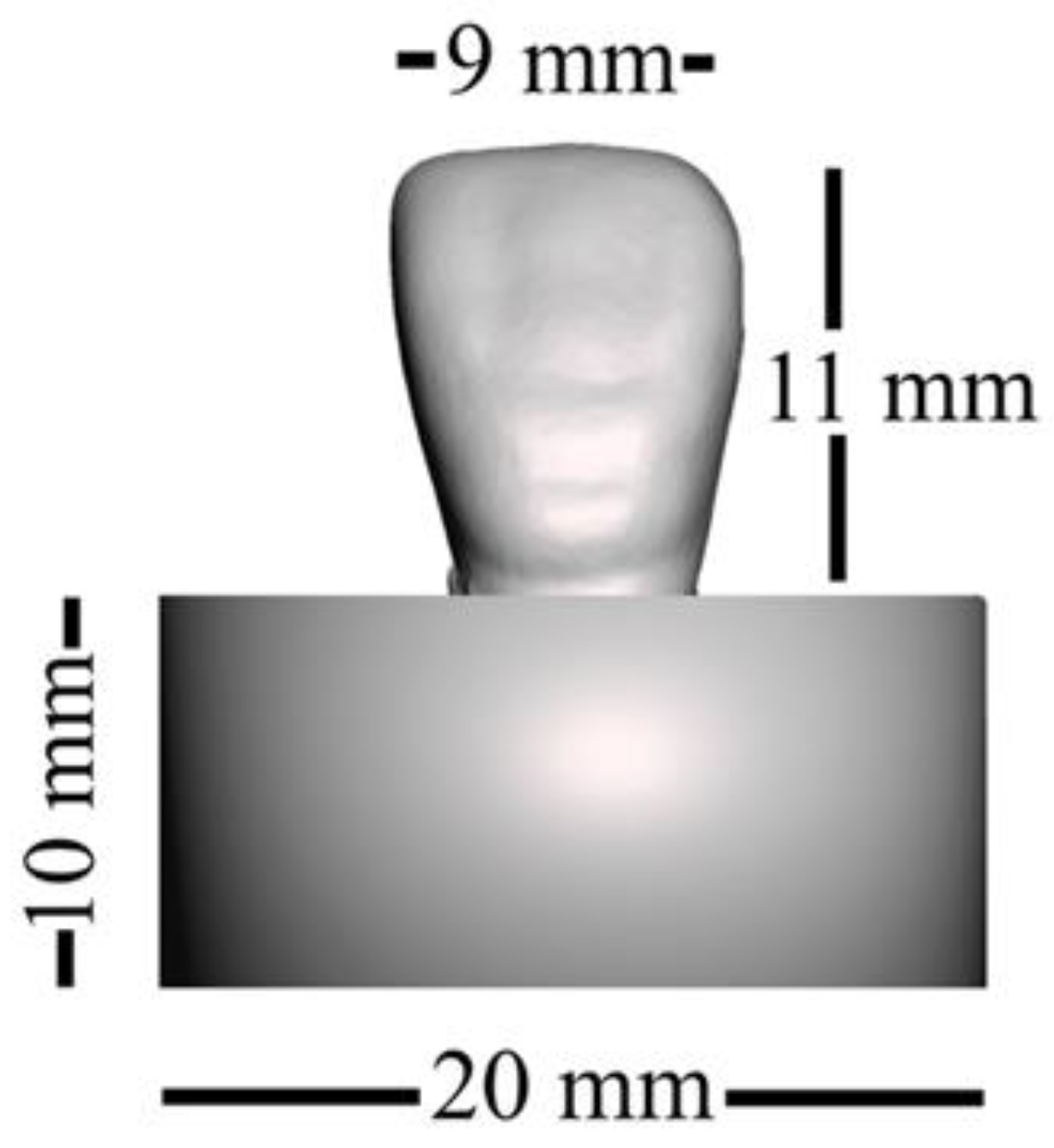 Polymers 15 02134 g001