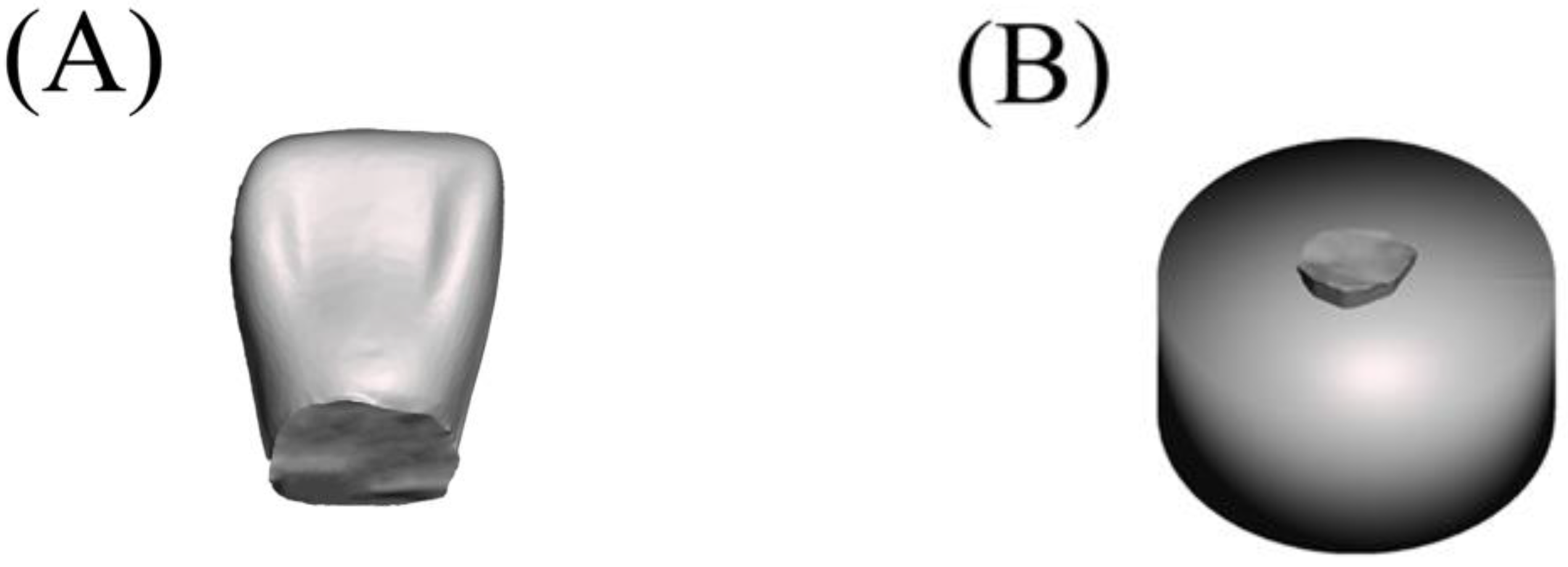 Polymers 15 02134 g002
